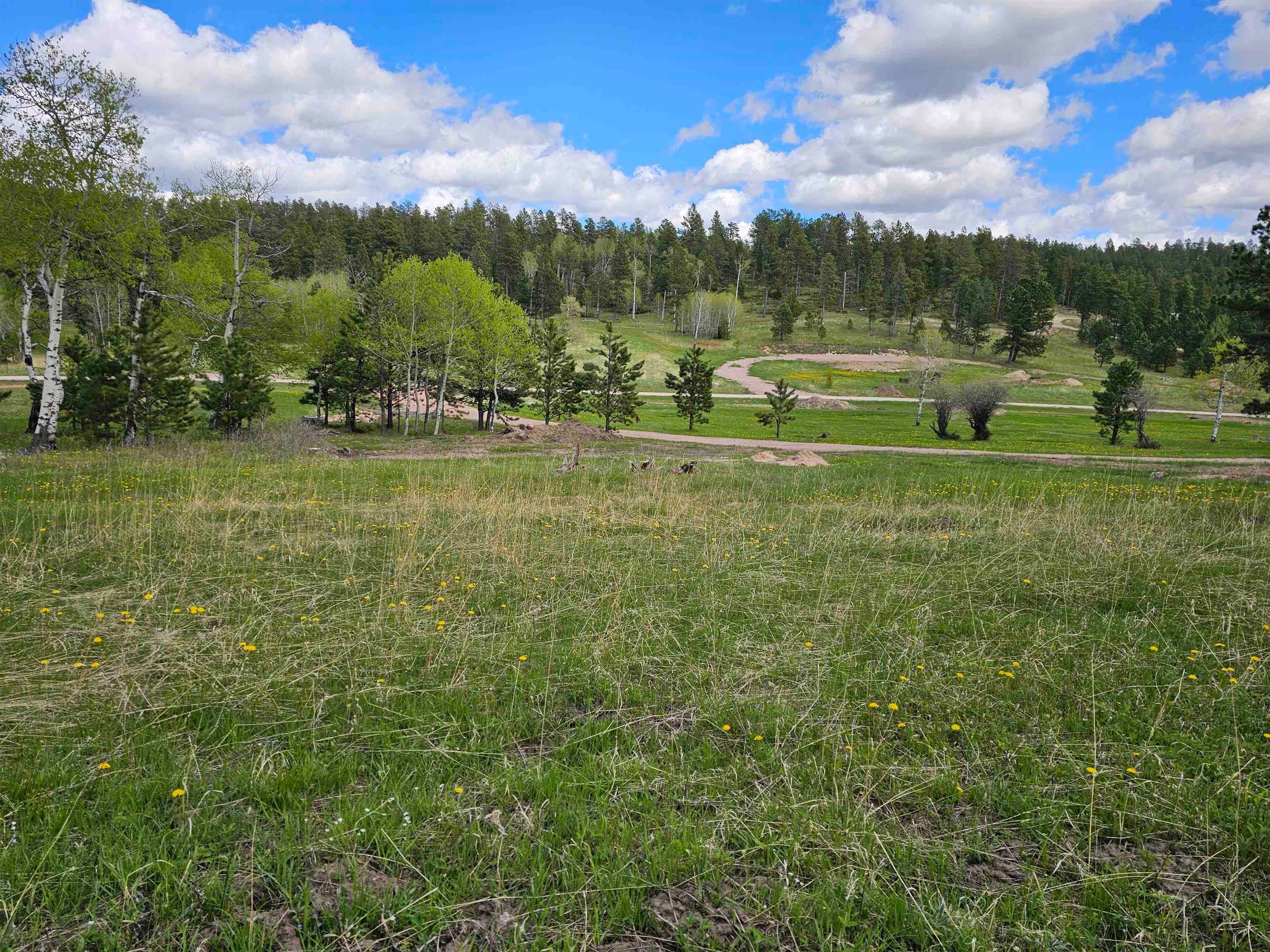 22262 Lost Meadows Road