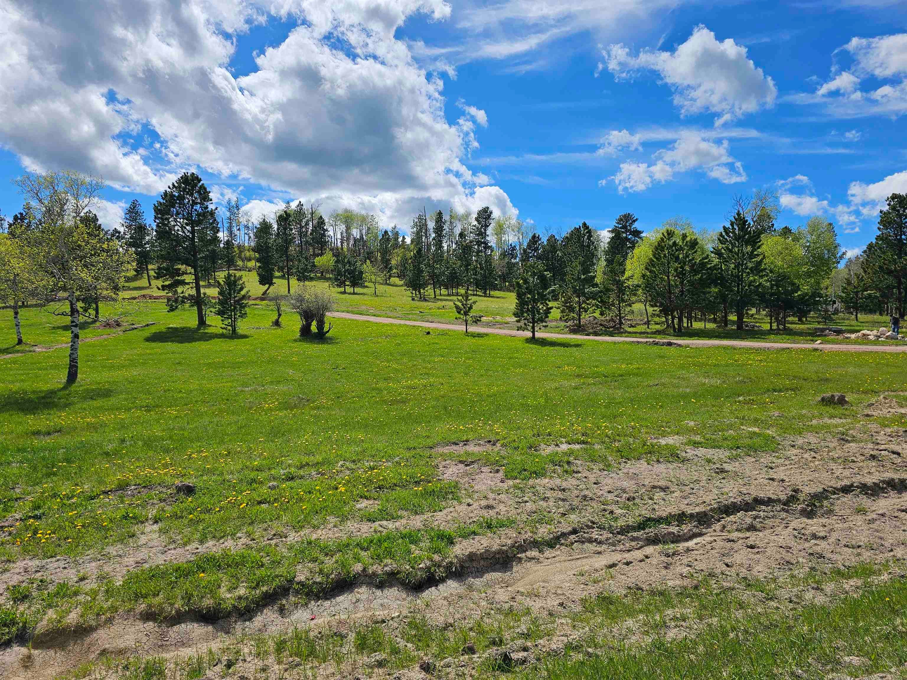 22262 Lost Meadows Road