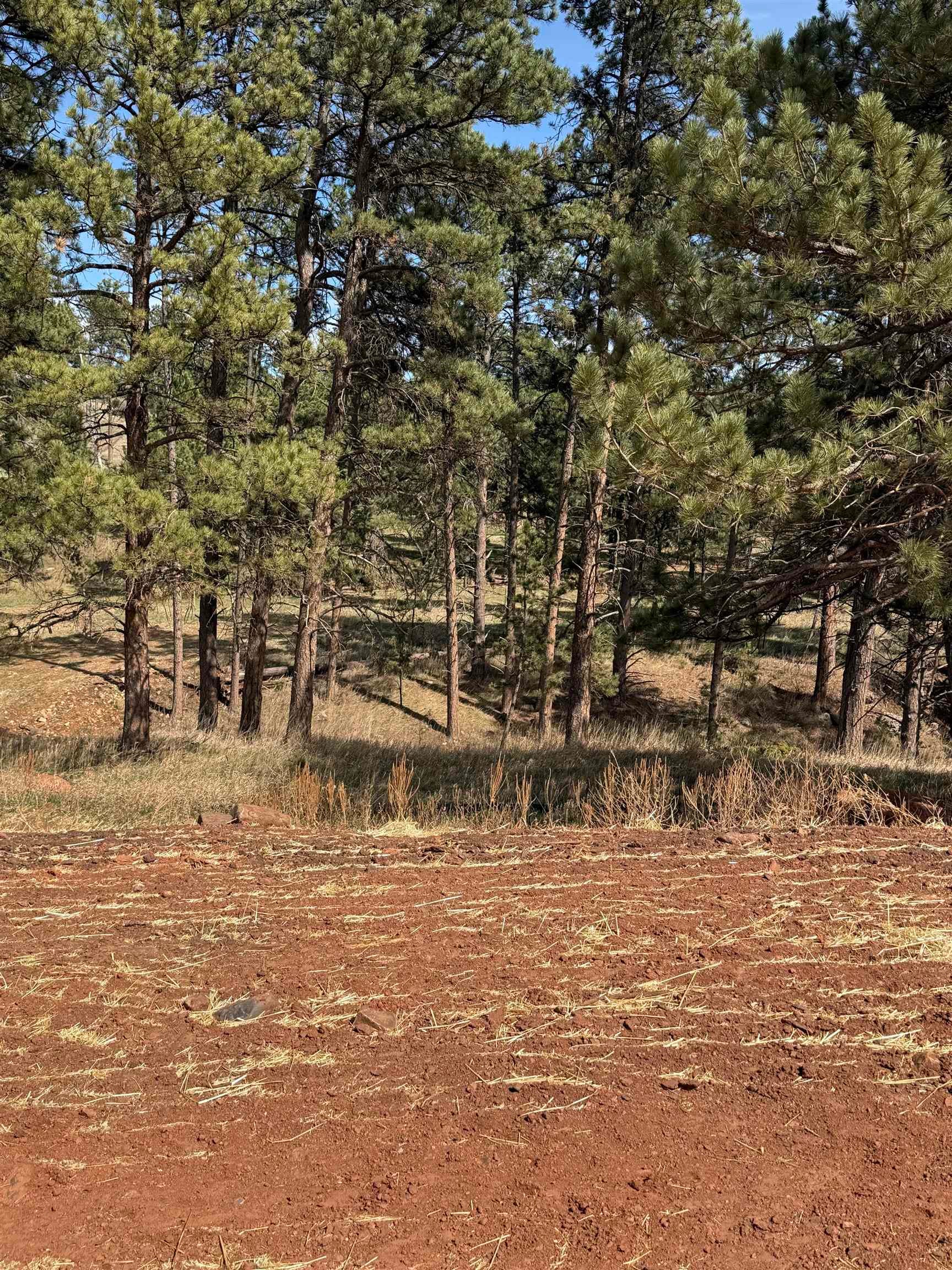 5924 Wind River Road