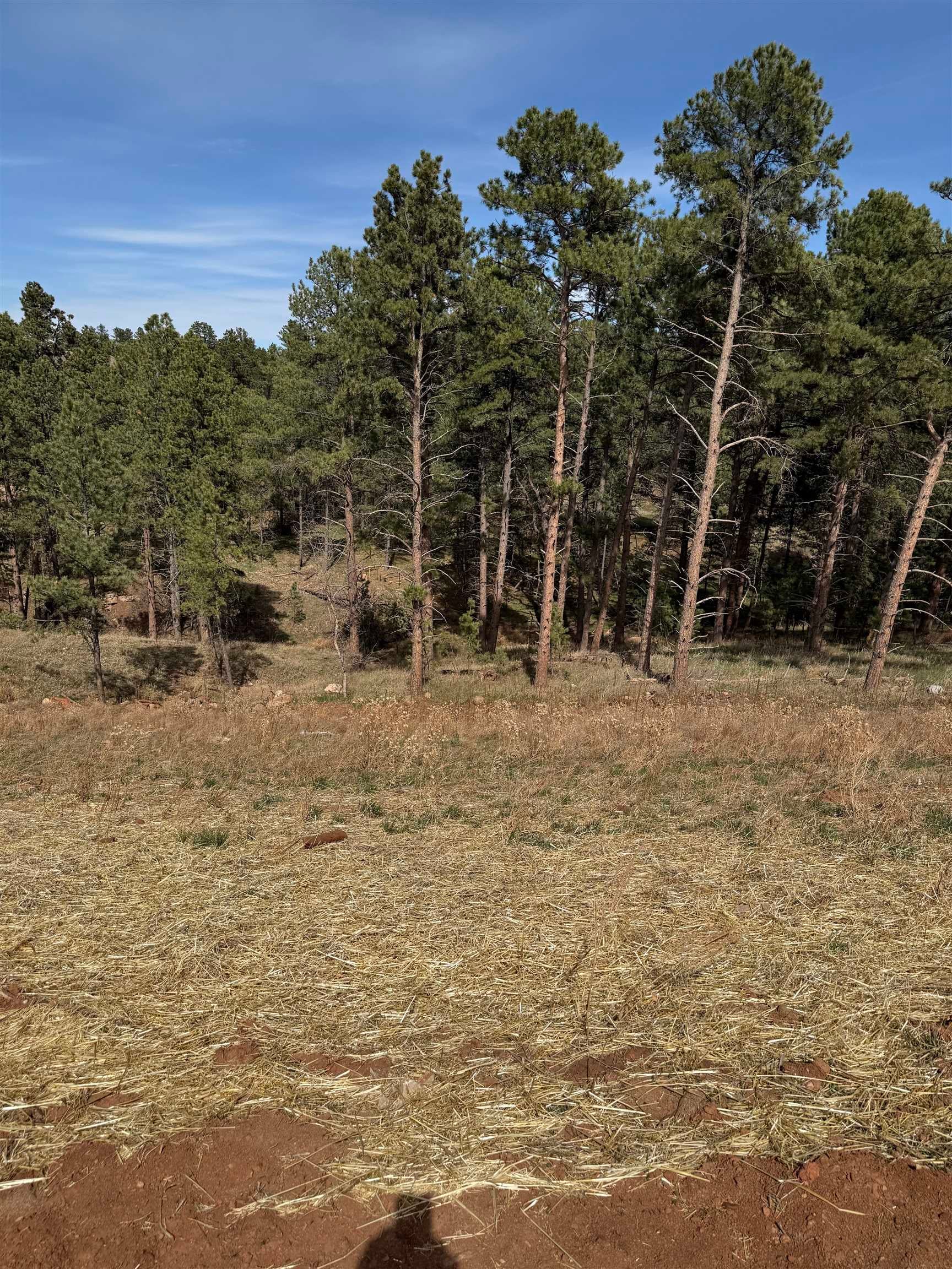 5824 Wind River Road