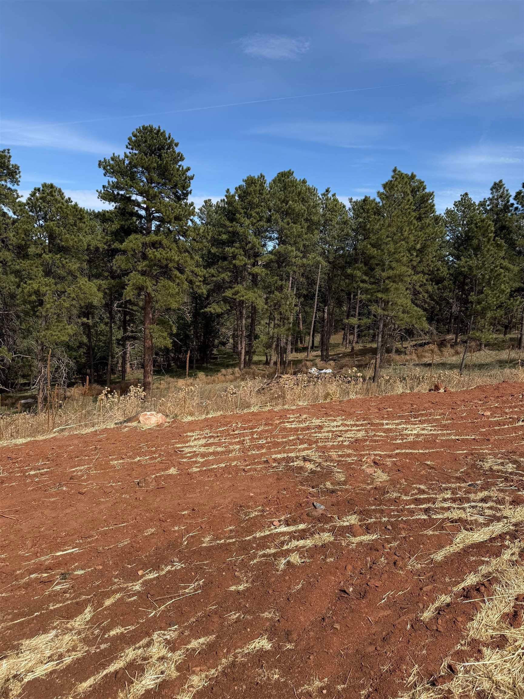 5824 Wind River Road