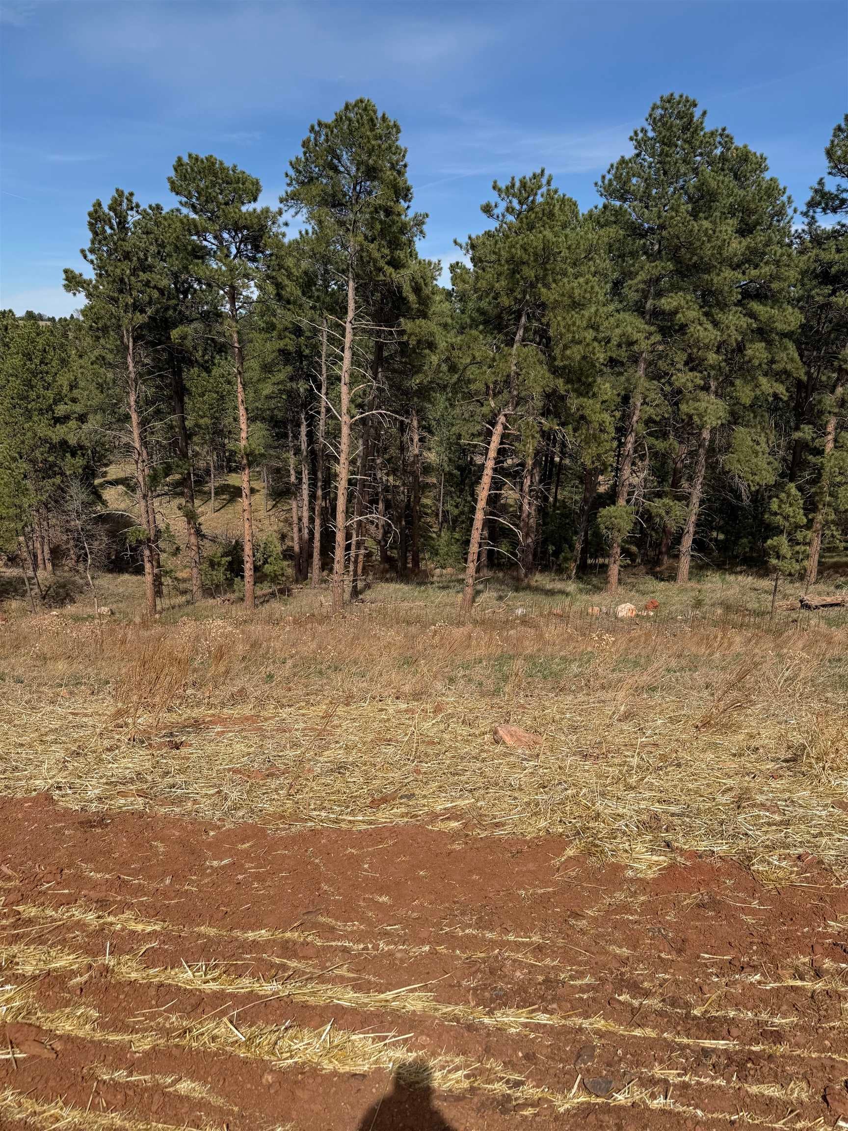 5824 Wind River Road