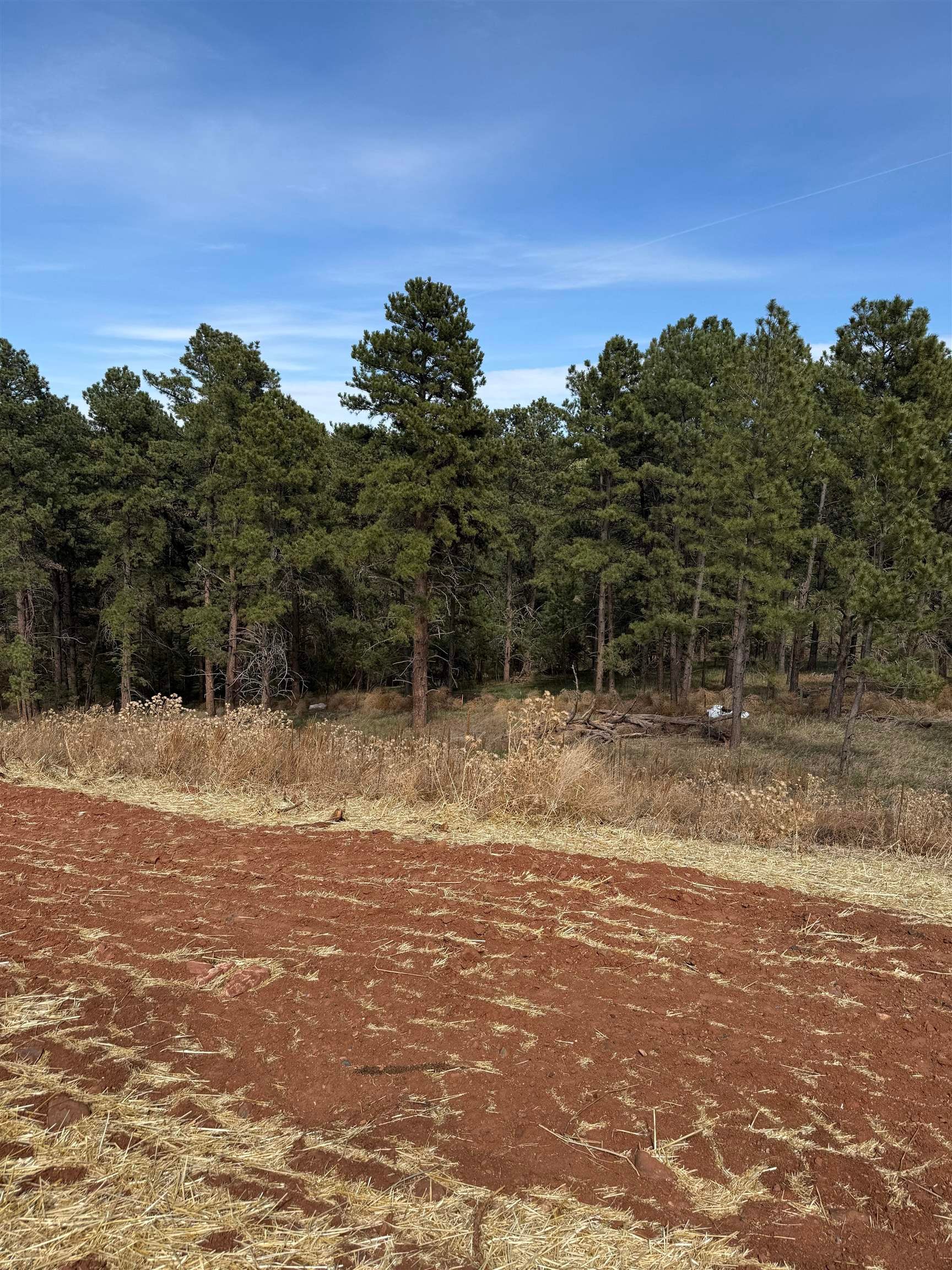 5824 Wind River Road