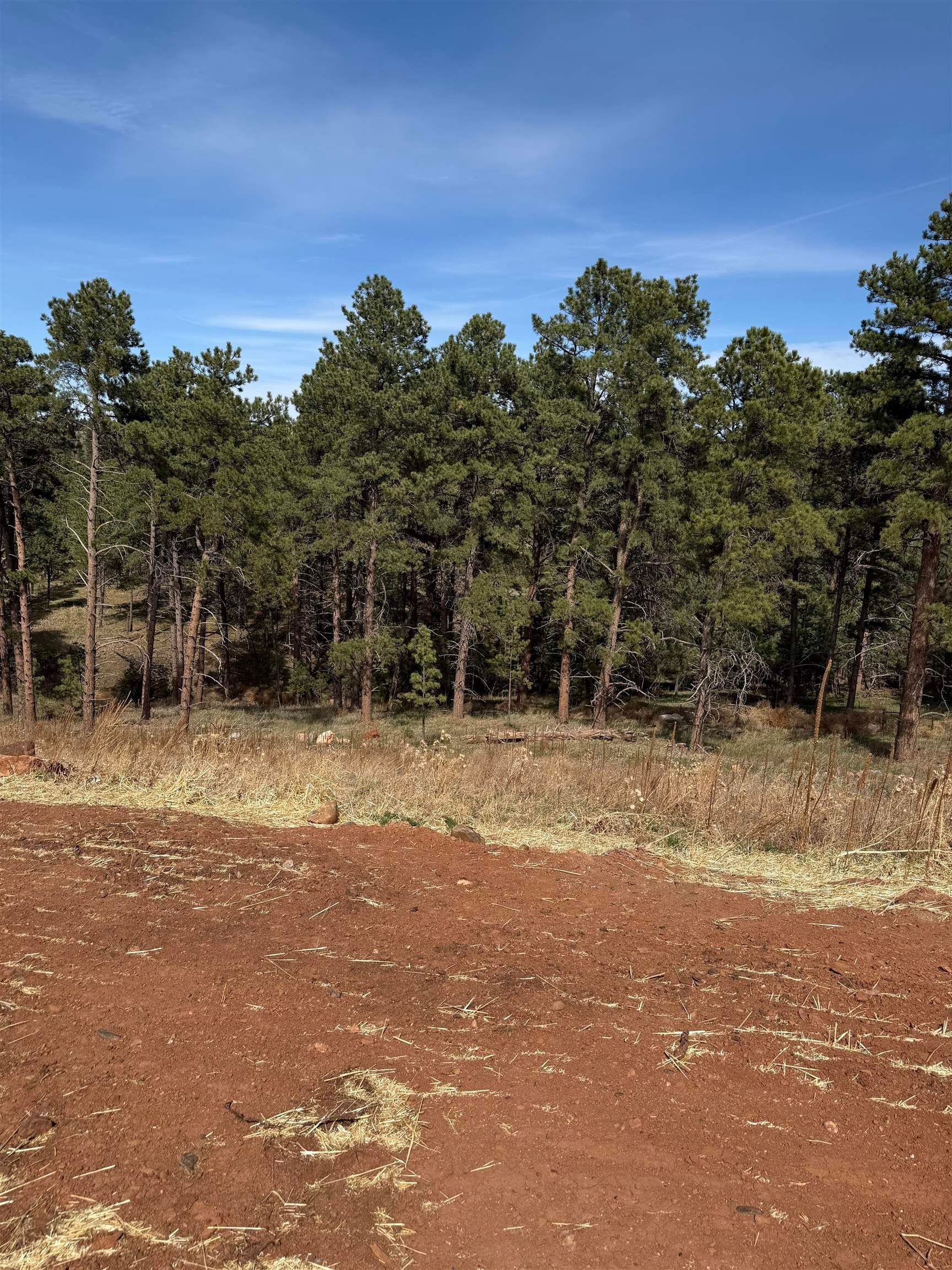 5824 Wind River Road