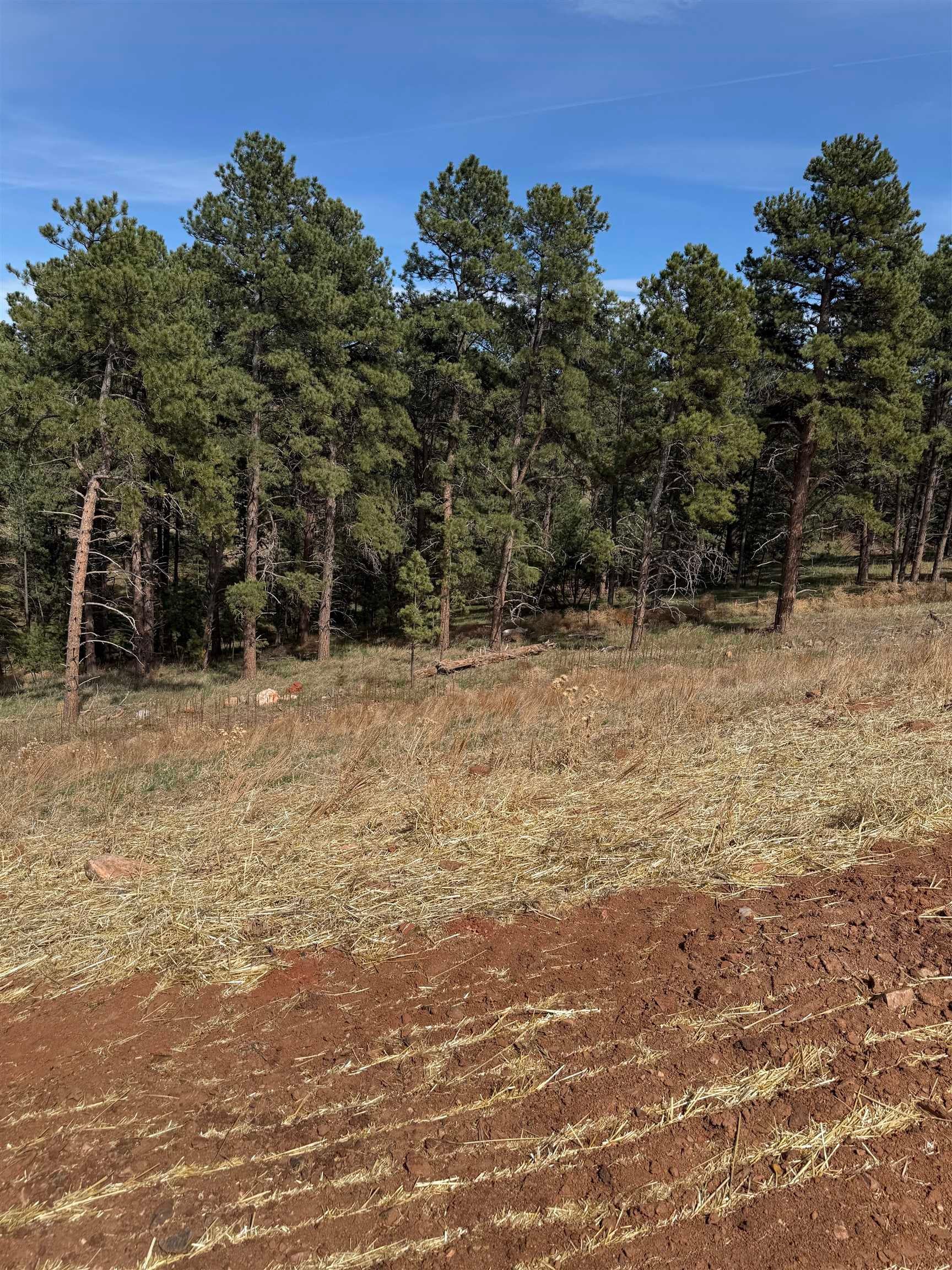 5760 Wind River Road