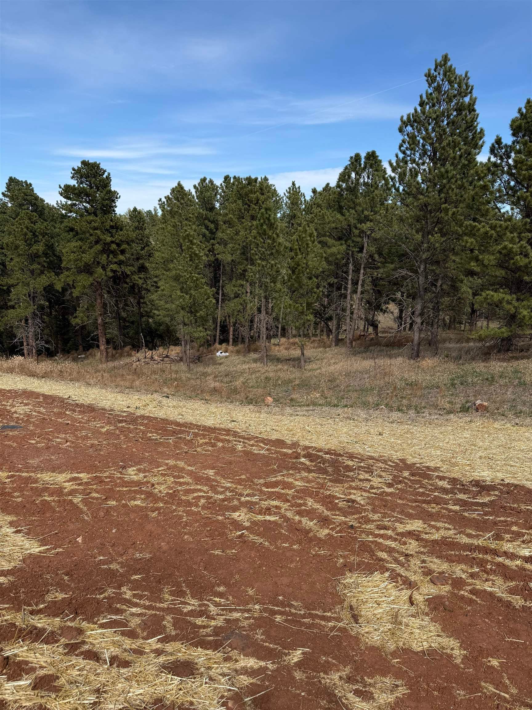 5520 Wind River Road
