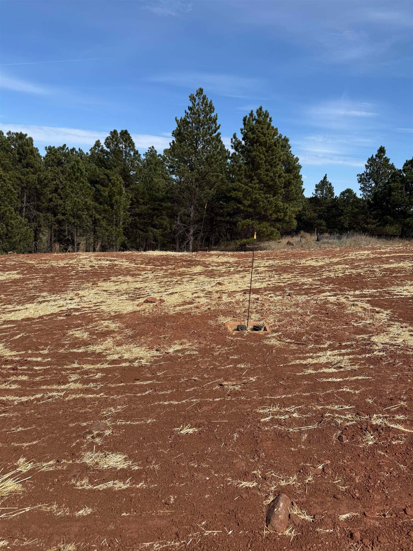 5414 Wind River Road