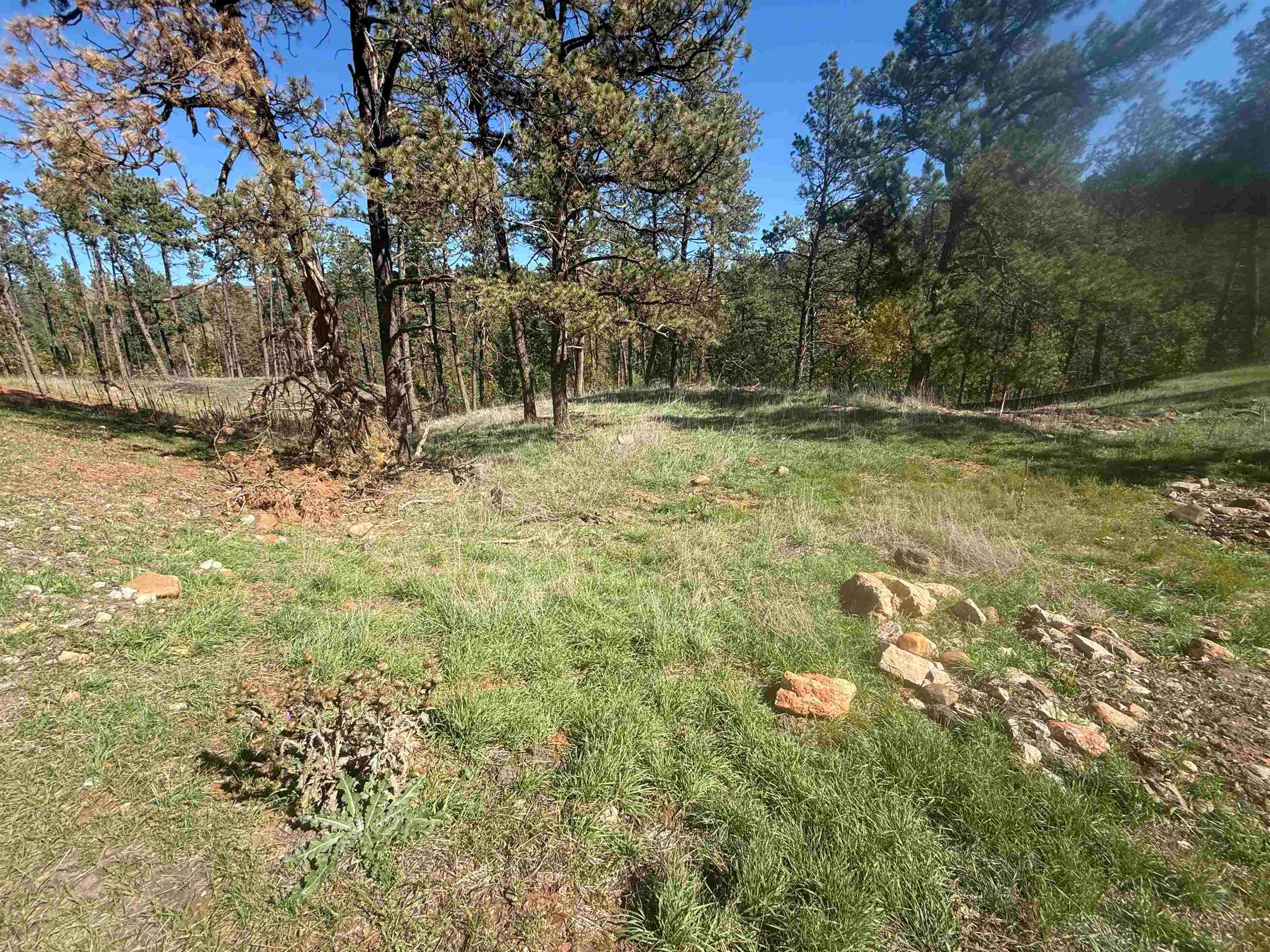 5304 Wind River Road