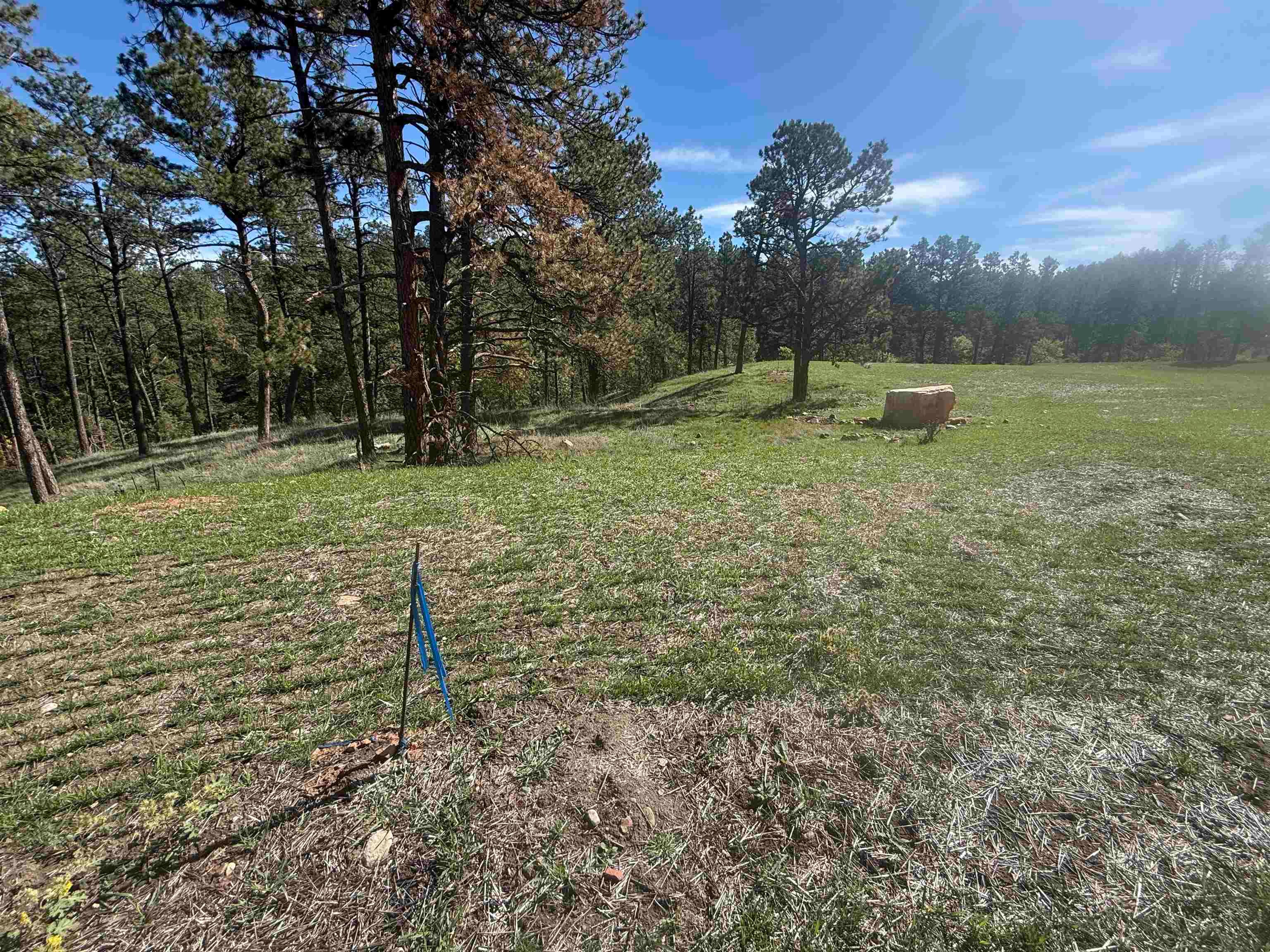 5304 Wind River Road