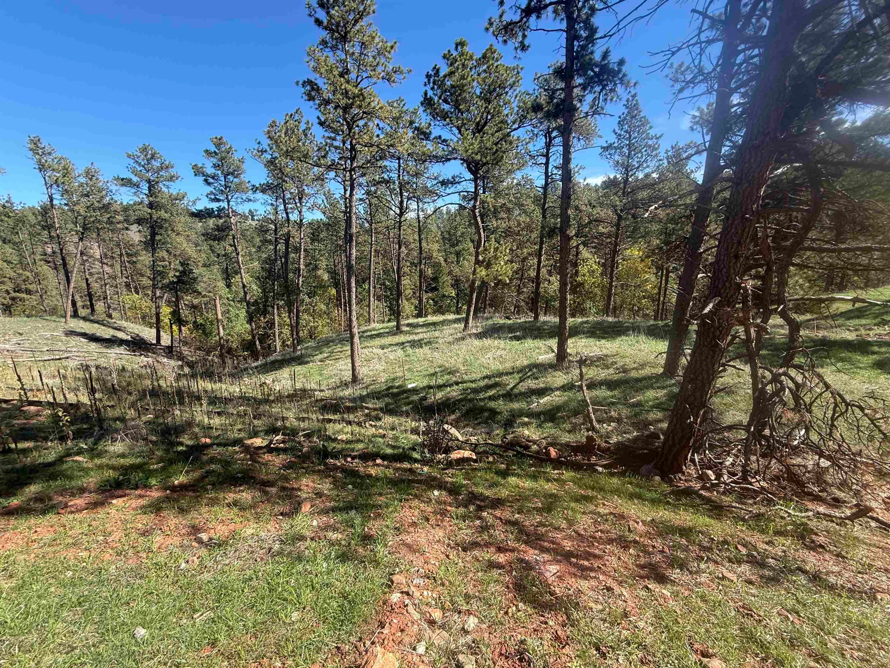 5304 Wind River Road
