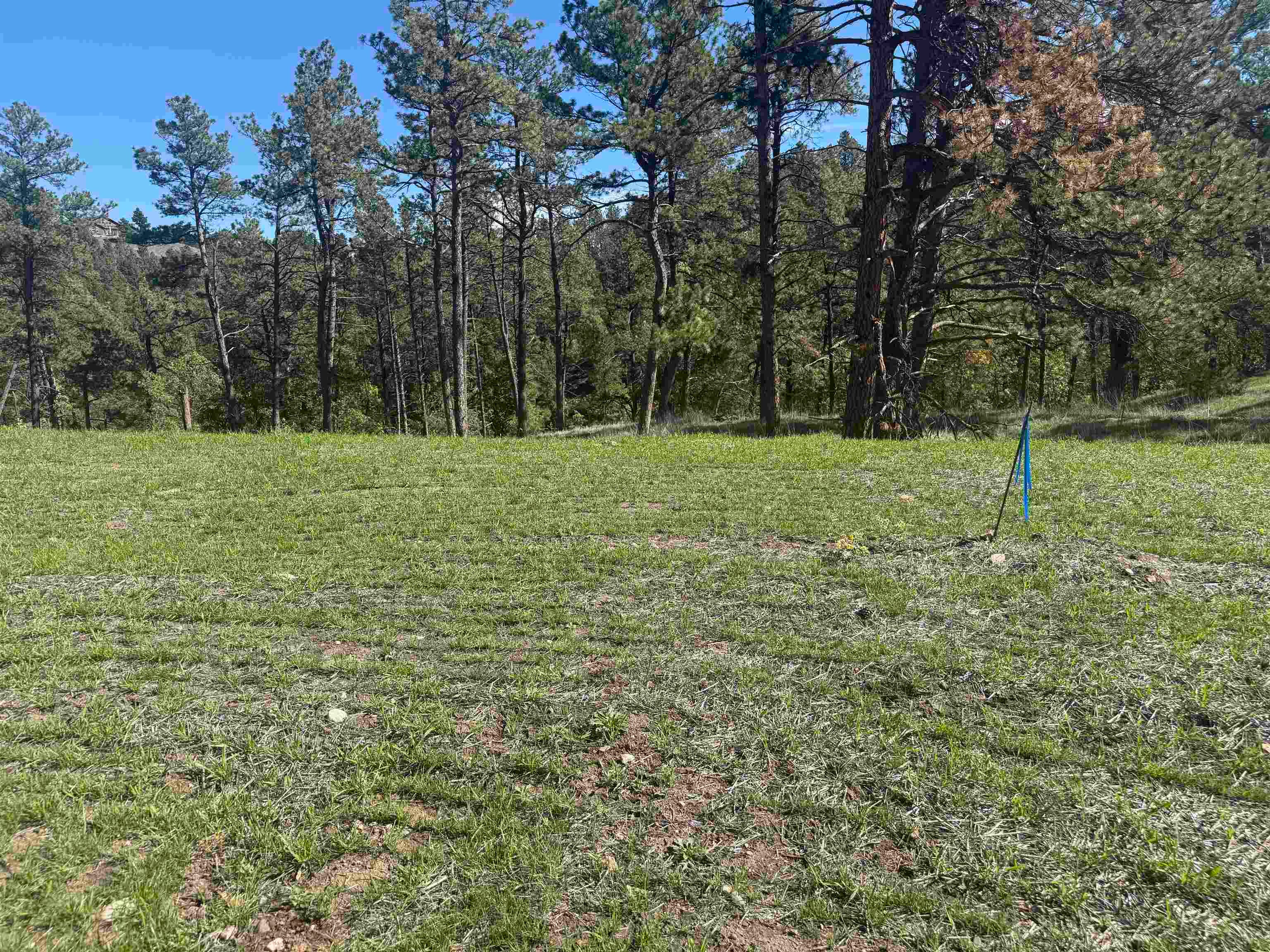 5304 Wind River Road