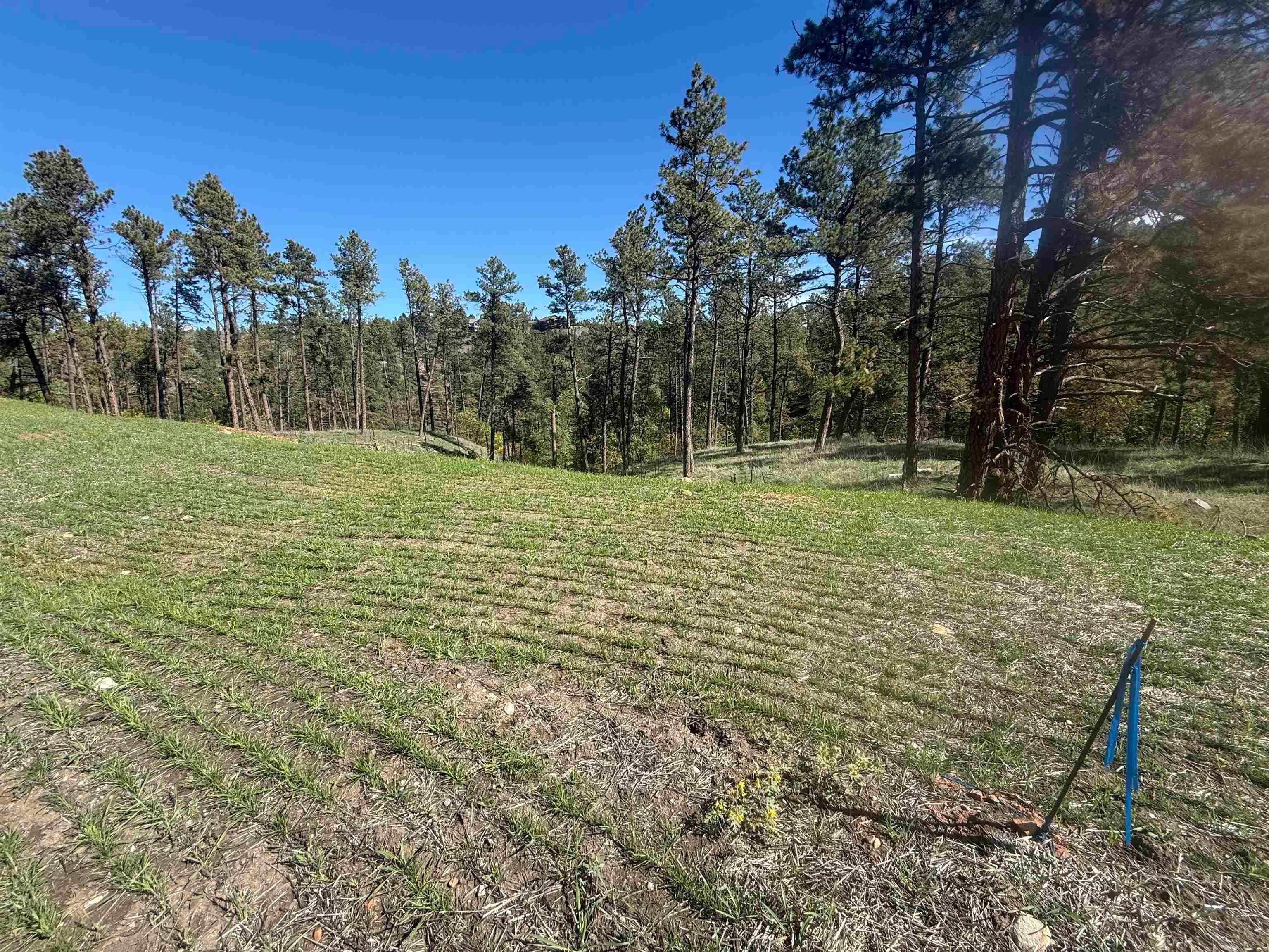 5304 Wind River Road