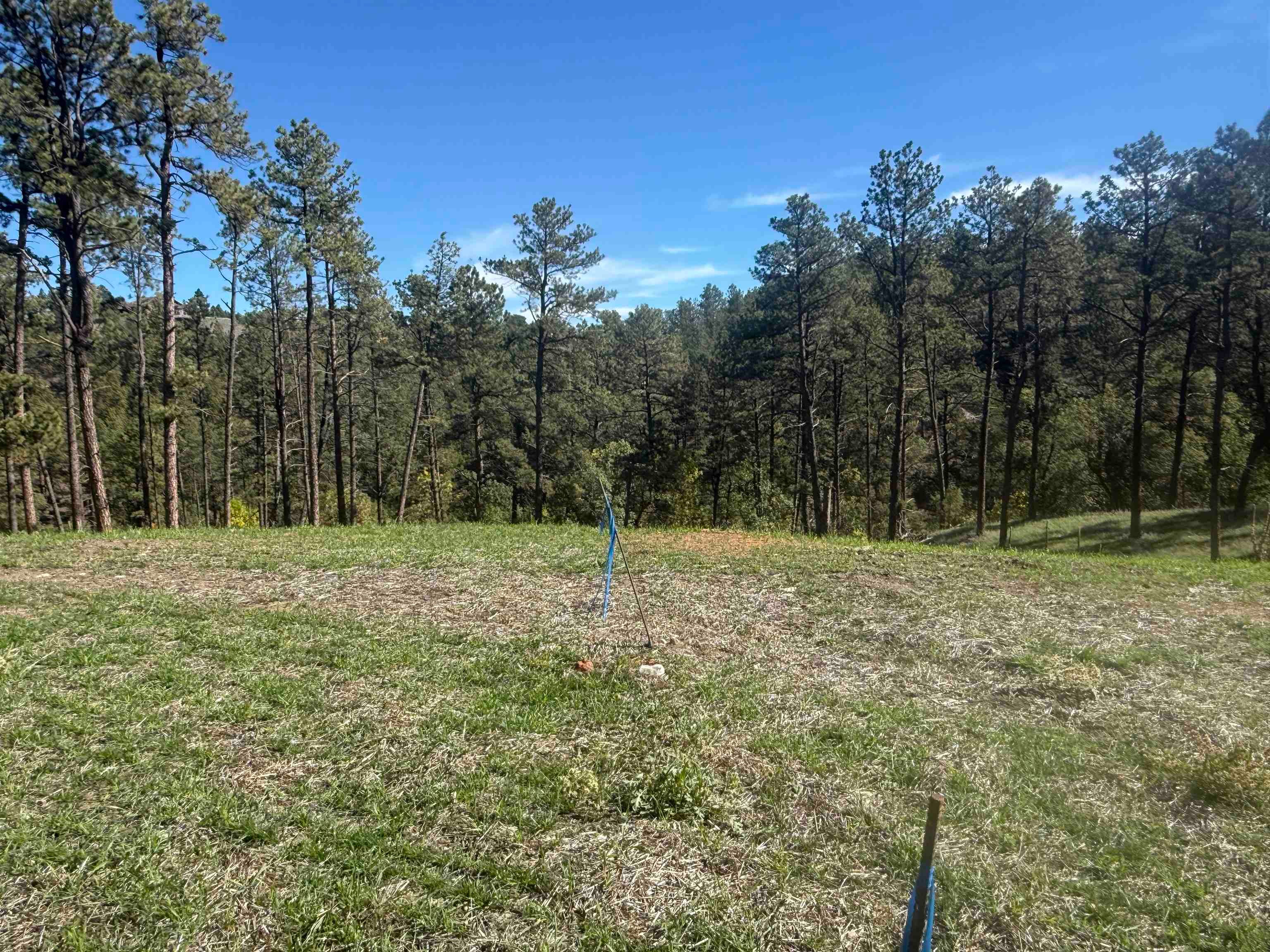 5224 Wind River Road