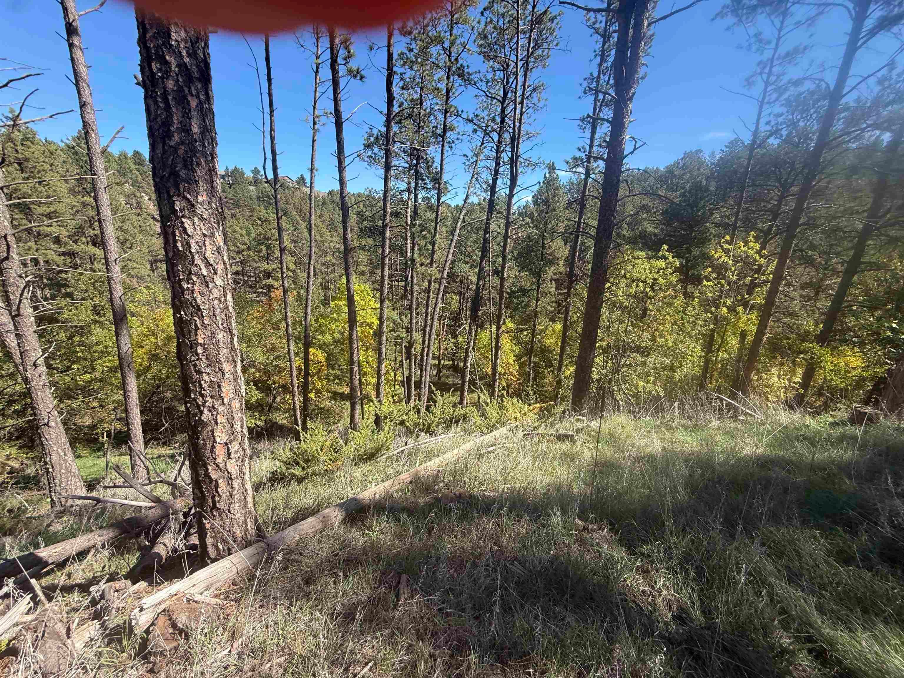 5212 Wind River Road