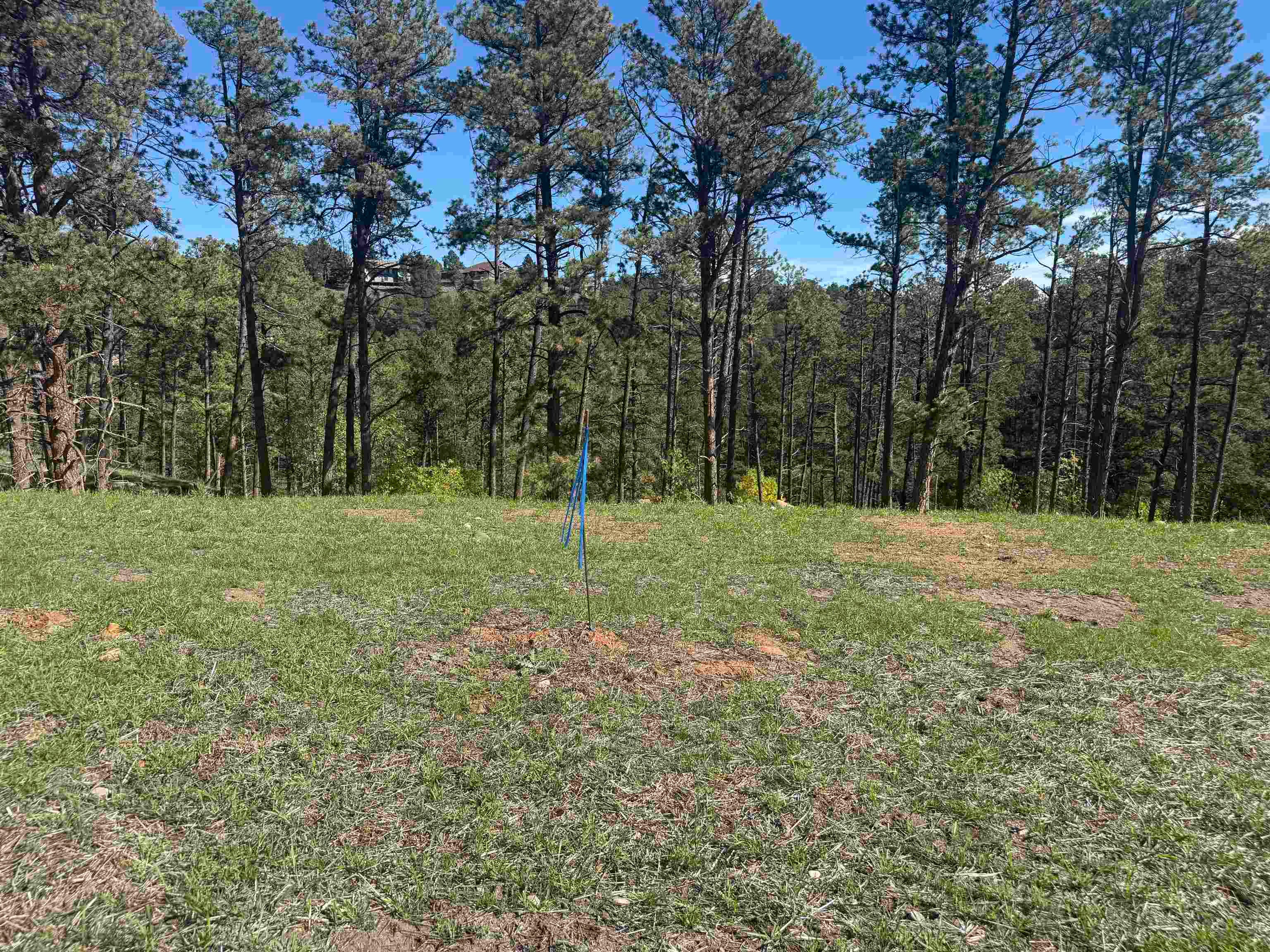 5212 Wind River Road