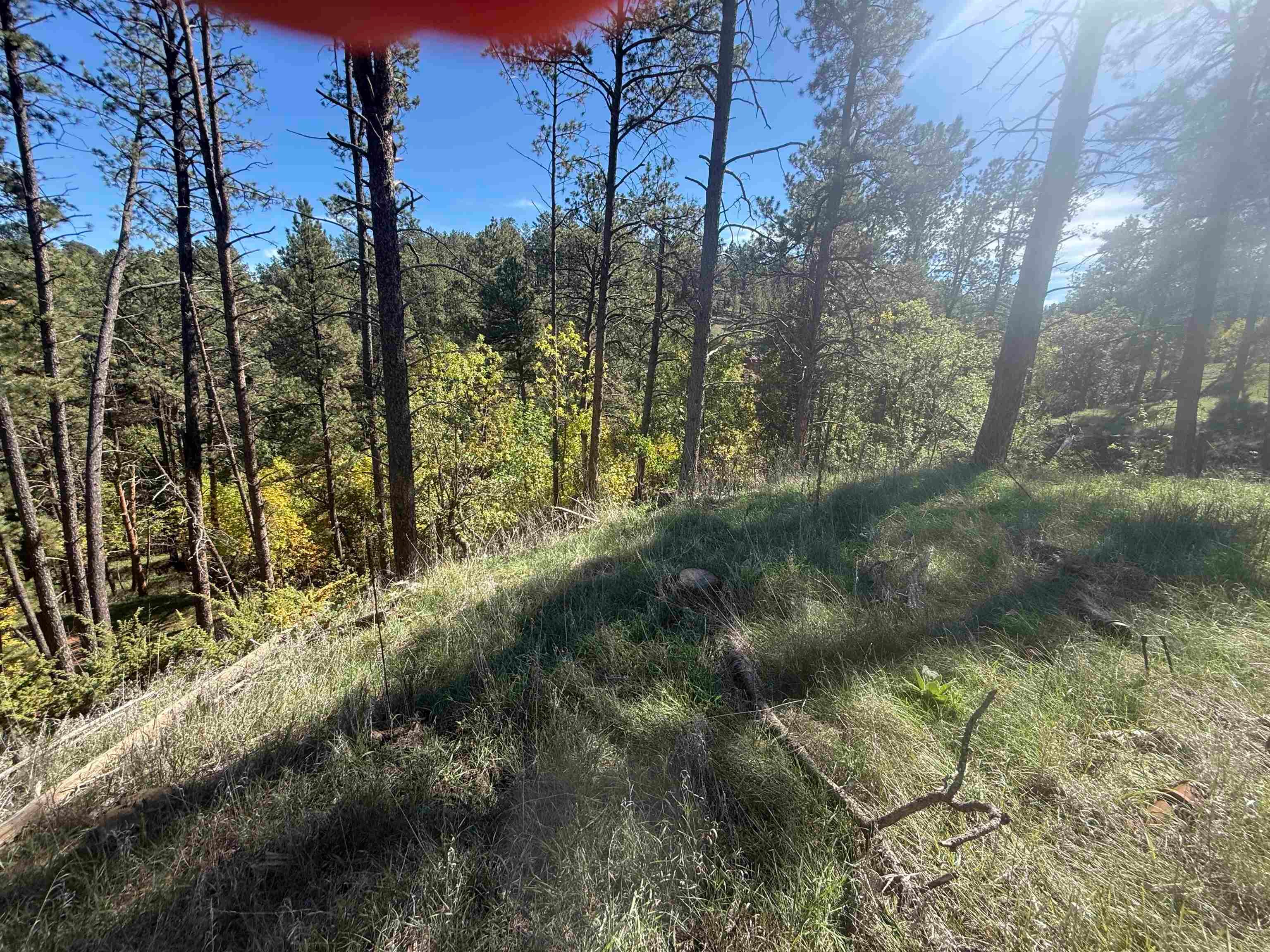 5212 Wind River Road