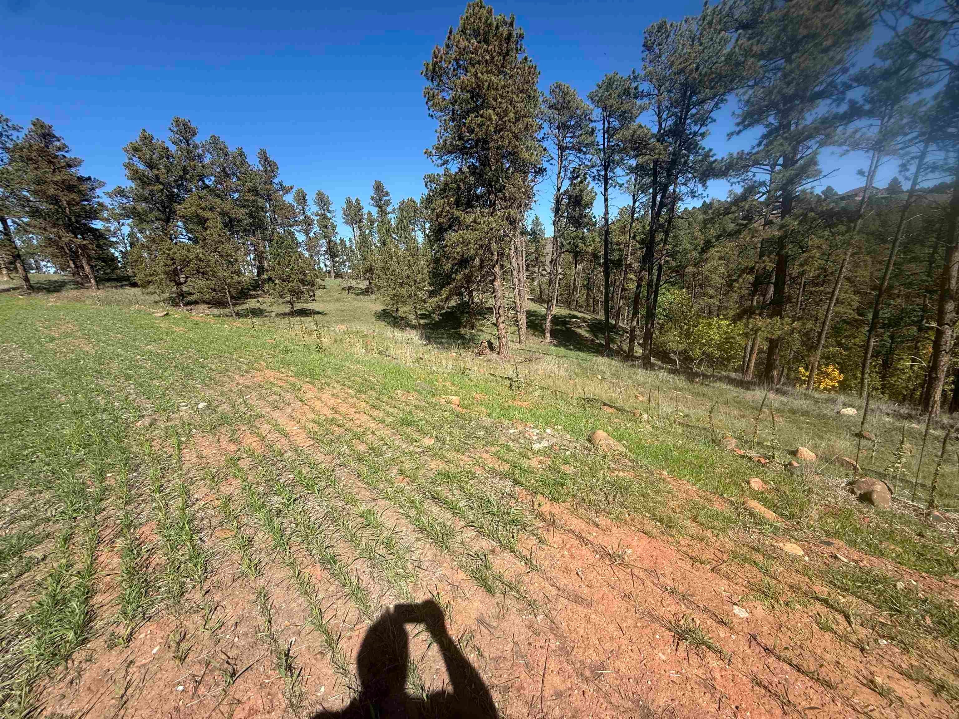 5212 Wind River Road