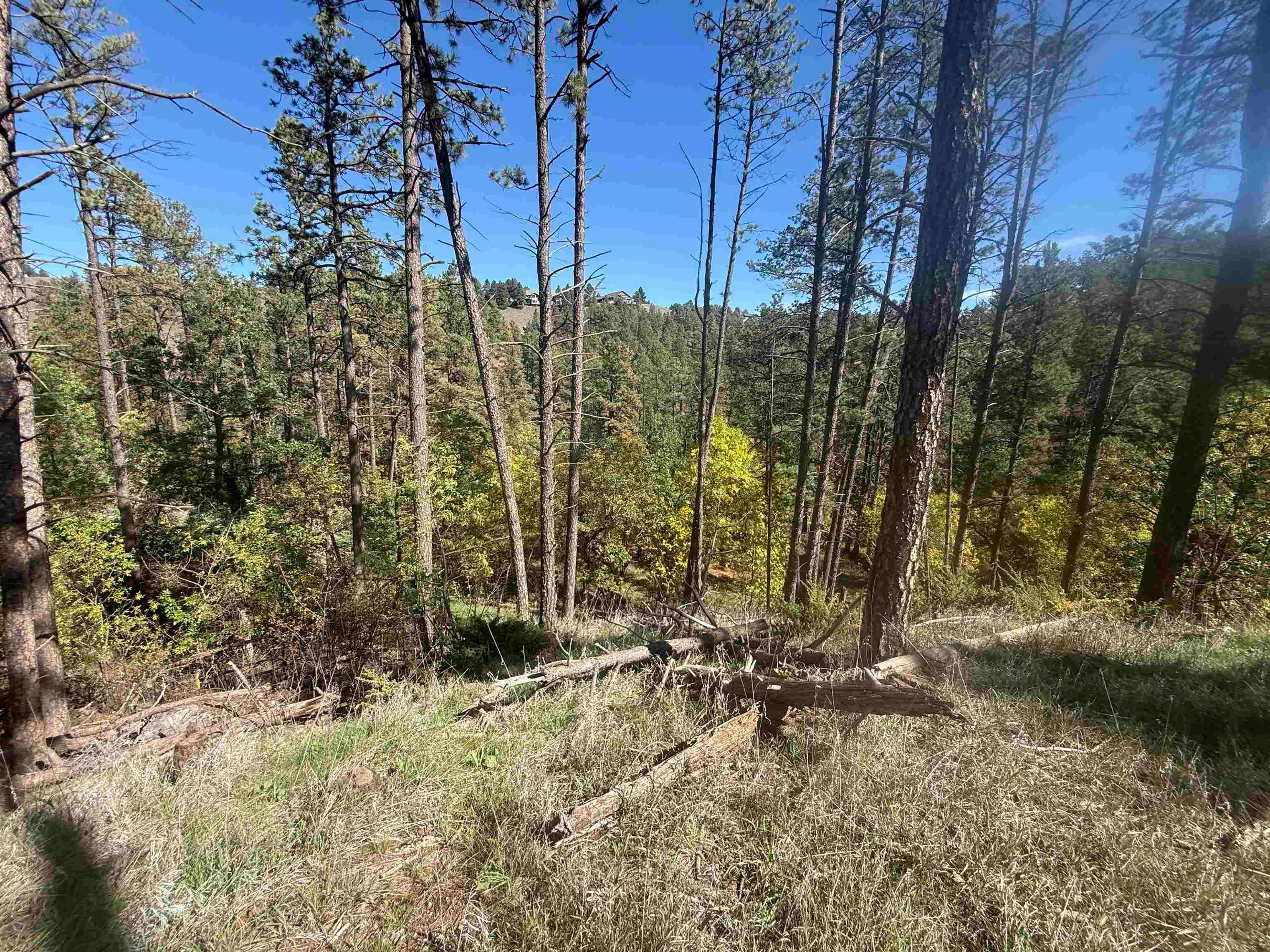5212 Wind River Road