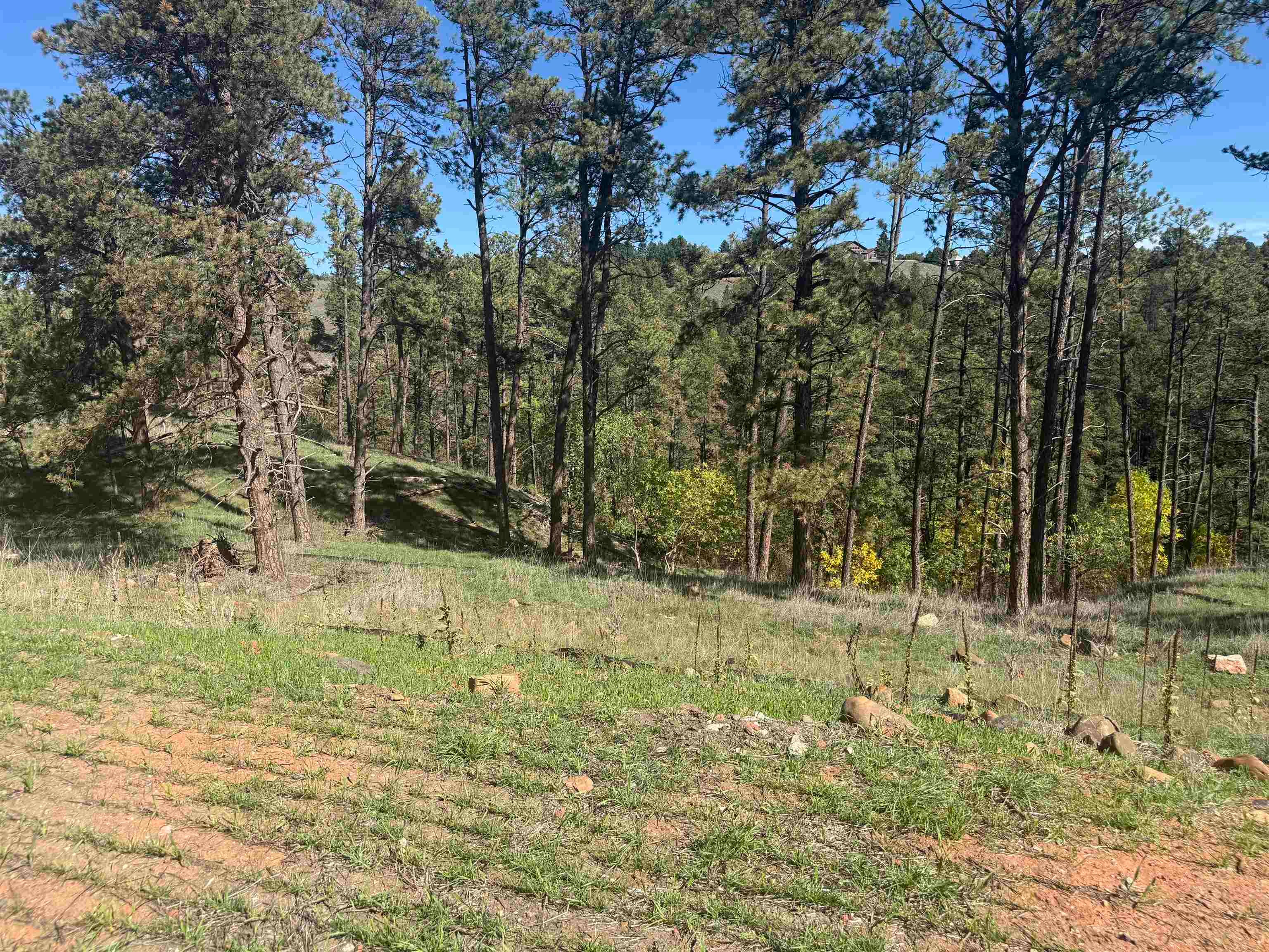 5212 Wind River Road
