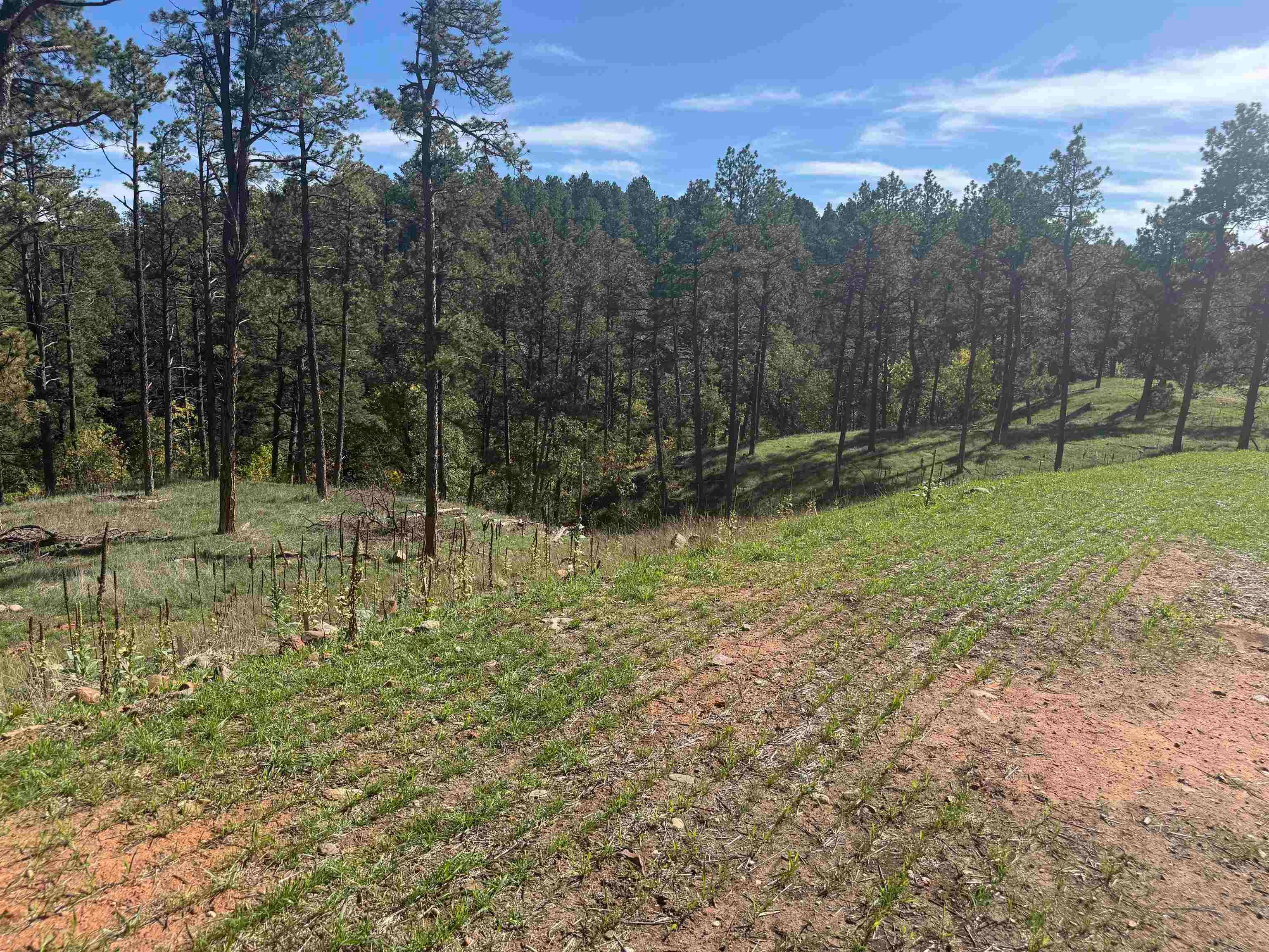 5212 Wind River Road