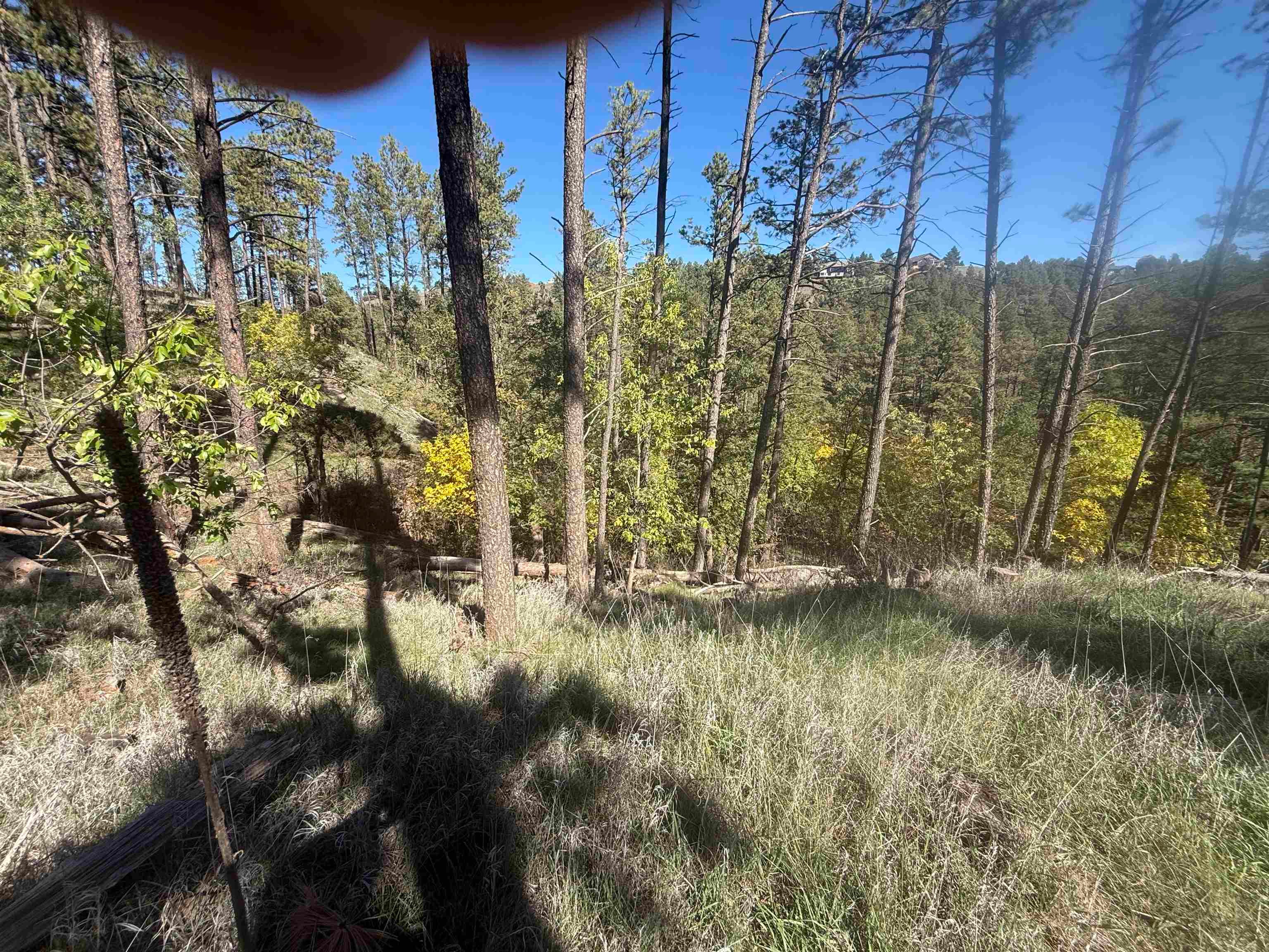 5212 Wind River Road
