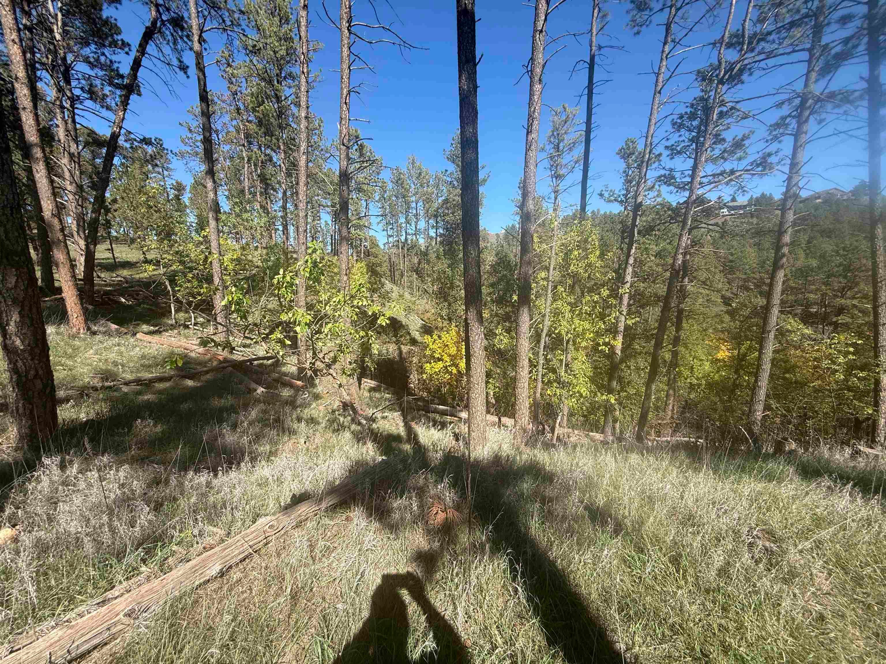 5212 Wind River Road