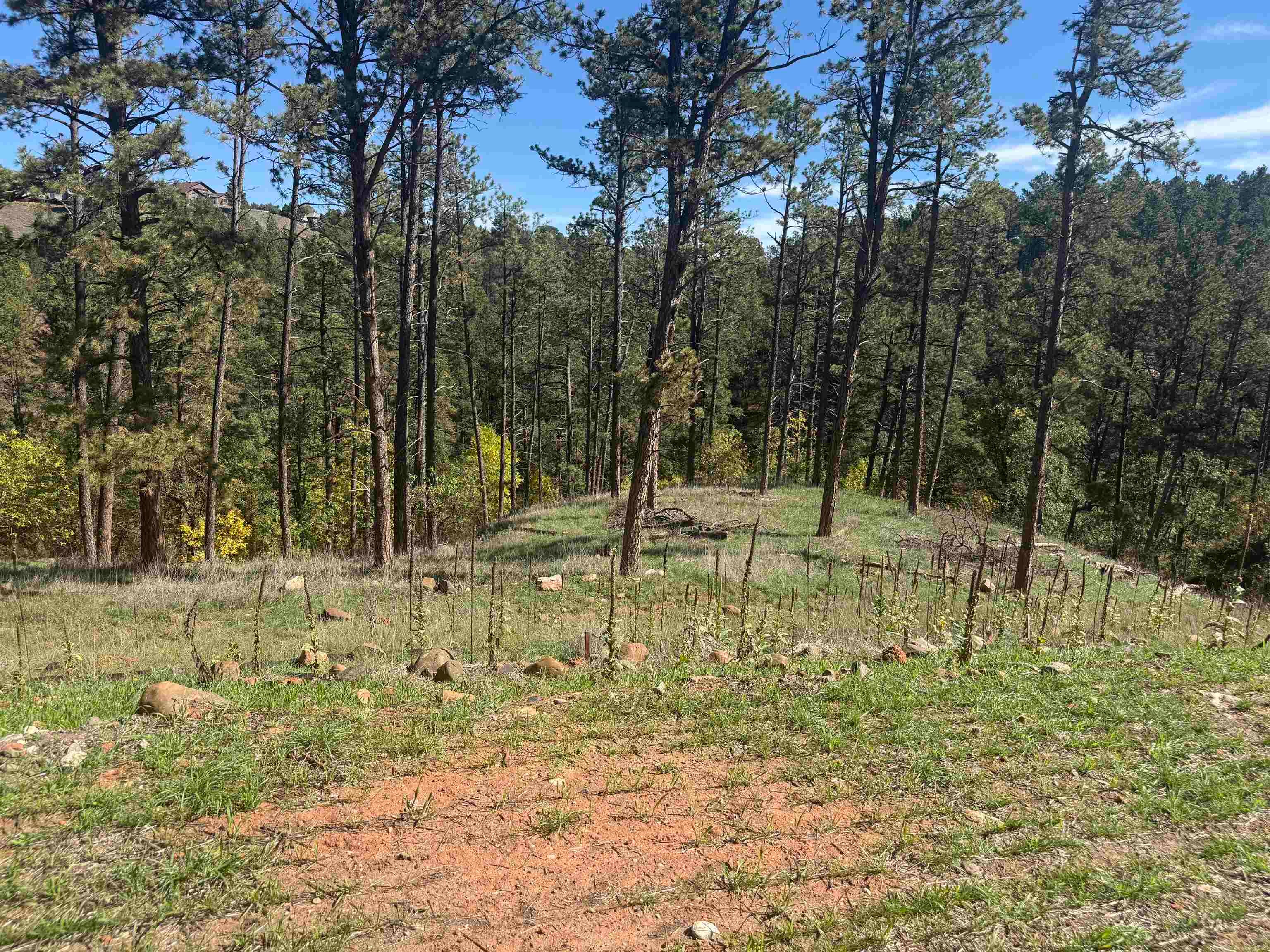 5212 Wind River Road