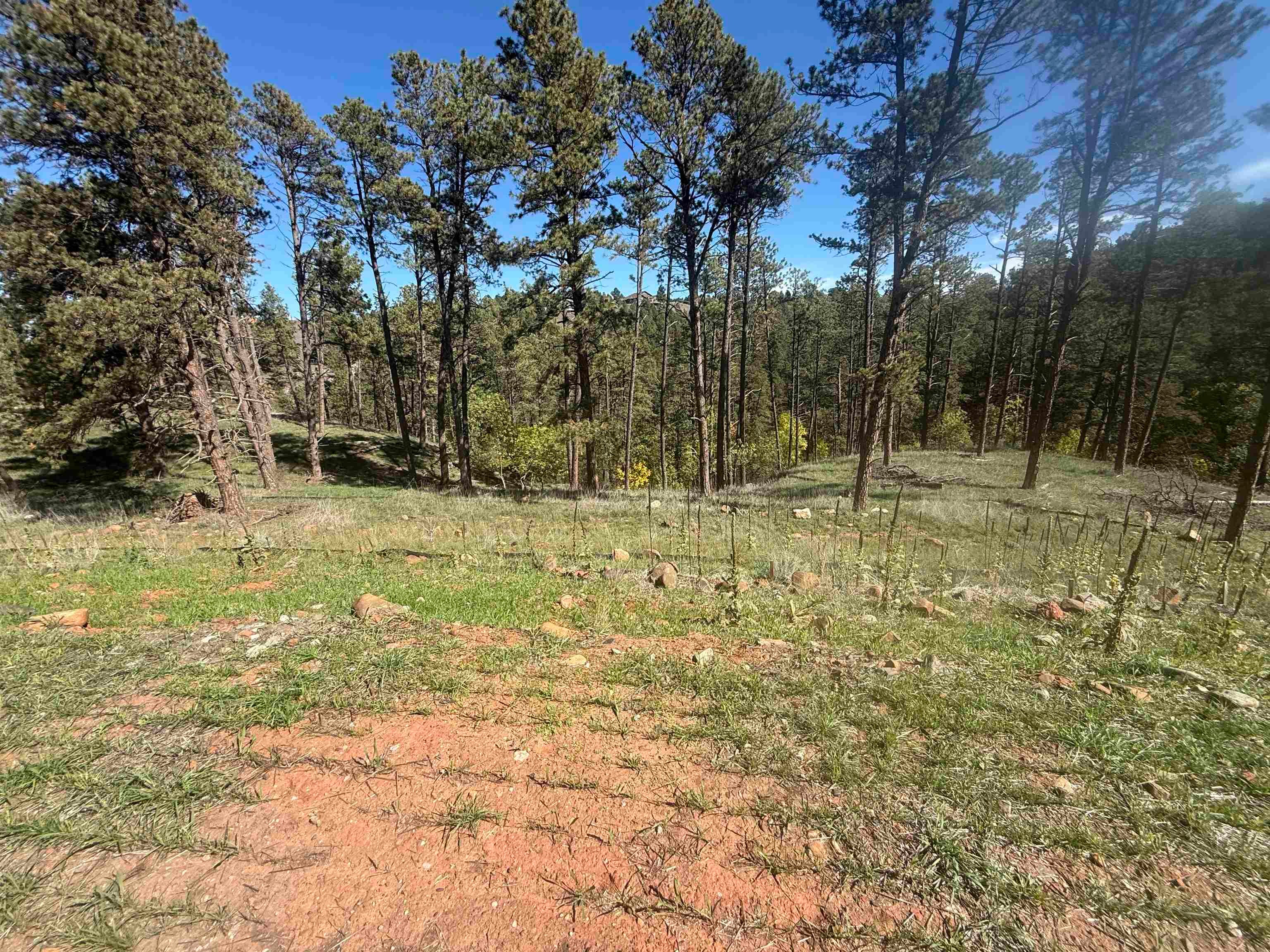 5212 Wind River Road
