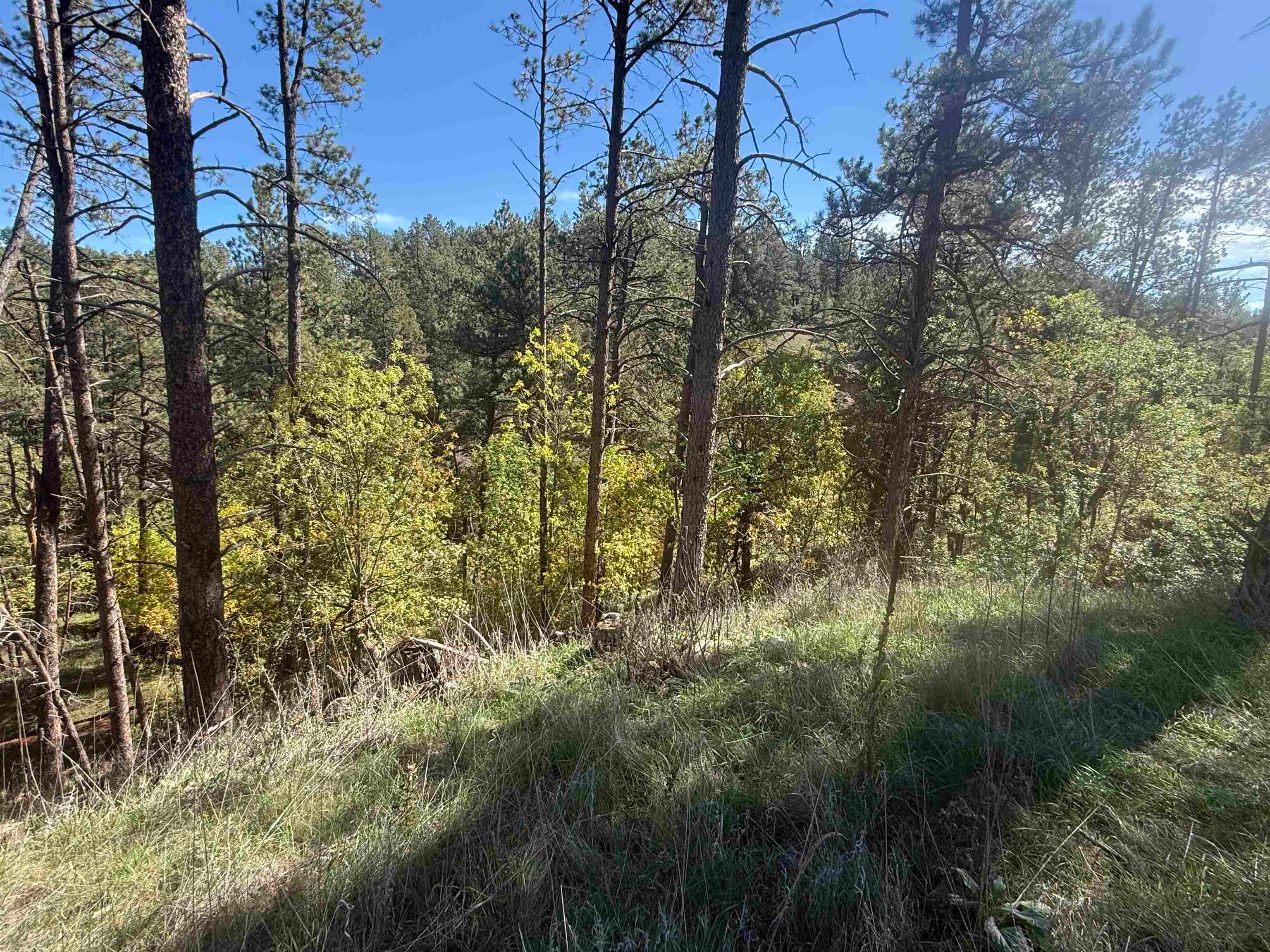 5212 Wind River Road