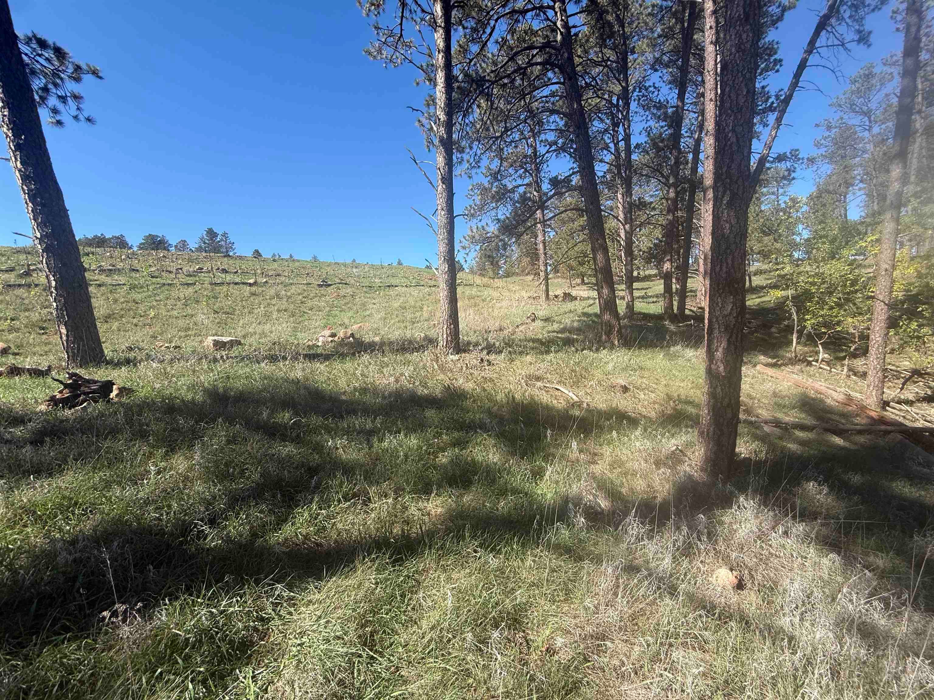 5212 Wind River Road