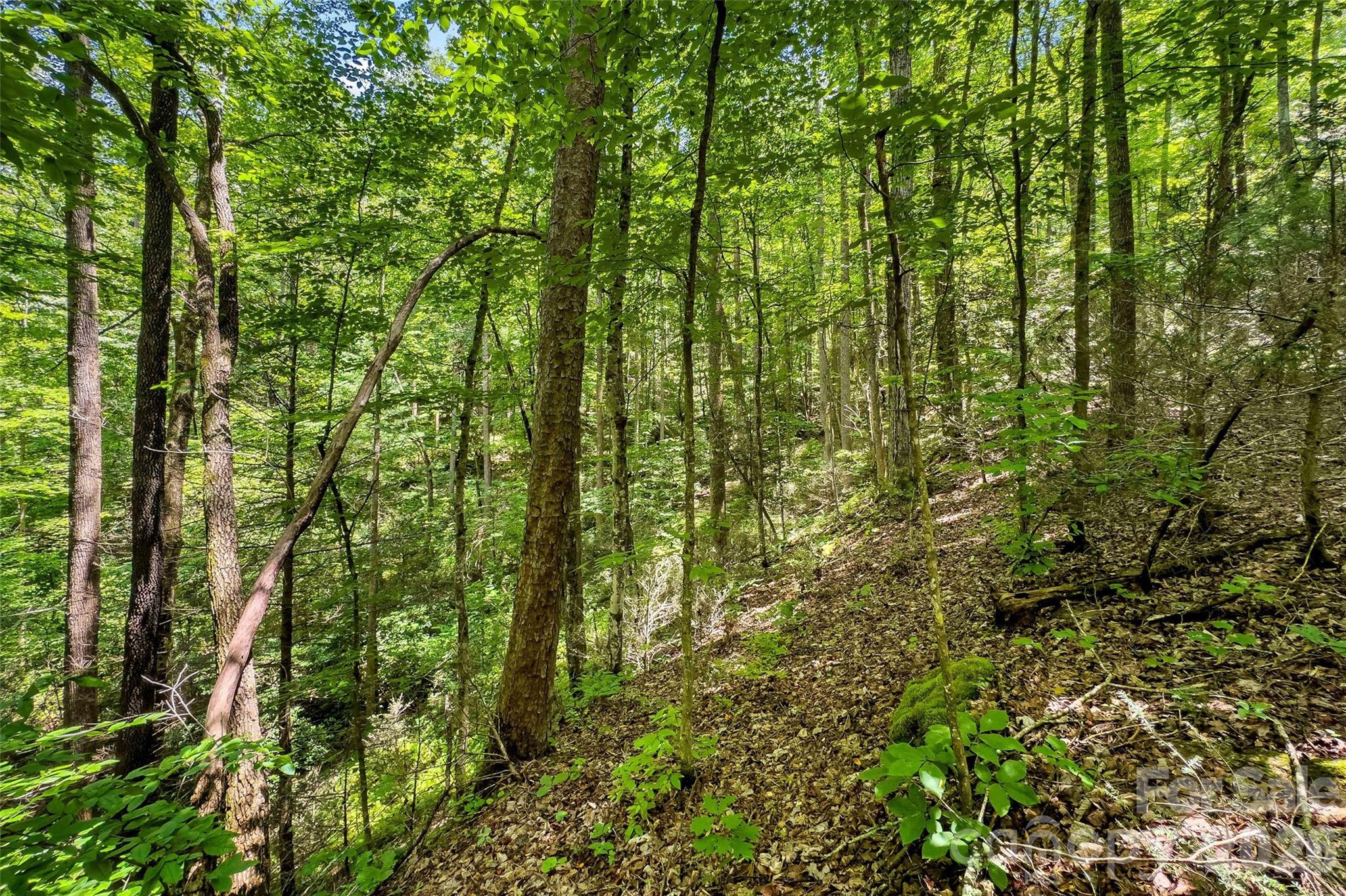 0 Buffalo Creek Road Unit: 0