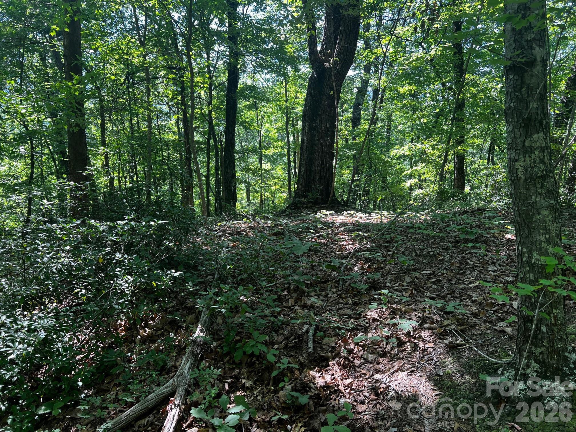 0 Buffalo Creek Road Unit: 0