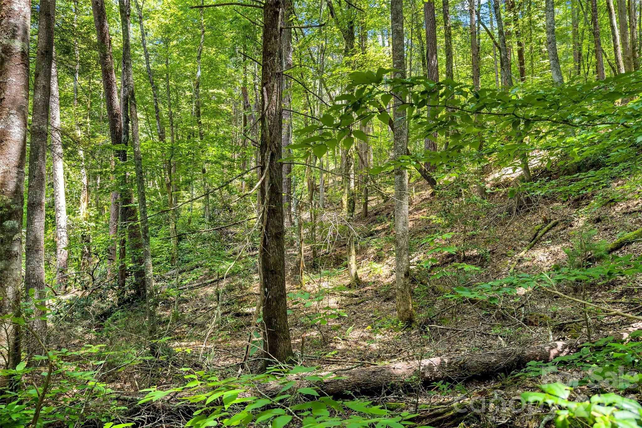 0 Buffalo Creek Road Unit: 0