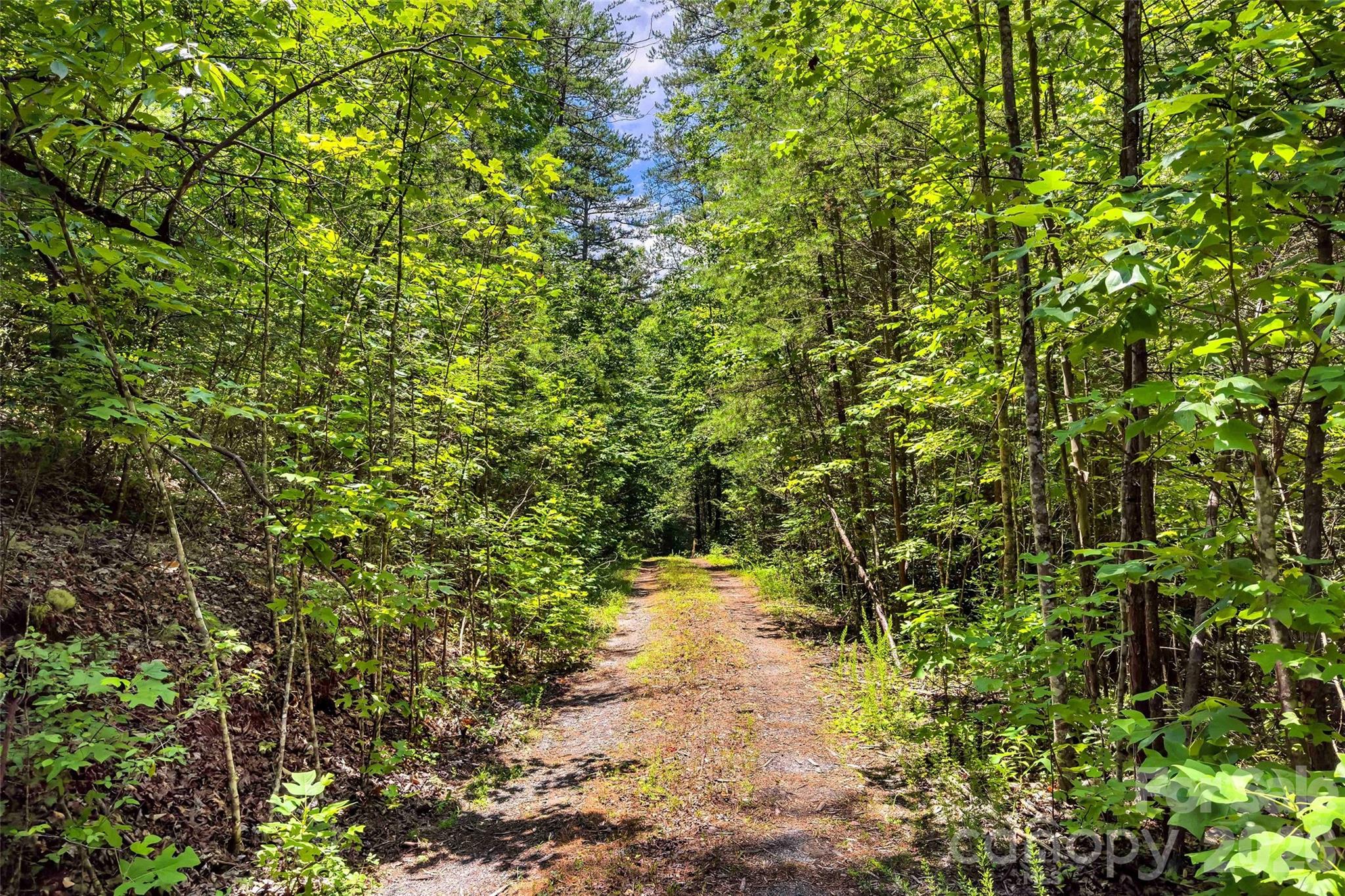 0 Buffalo Creek Road Unit: 0