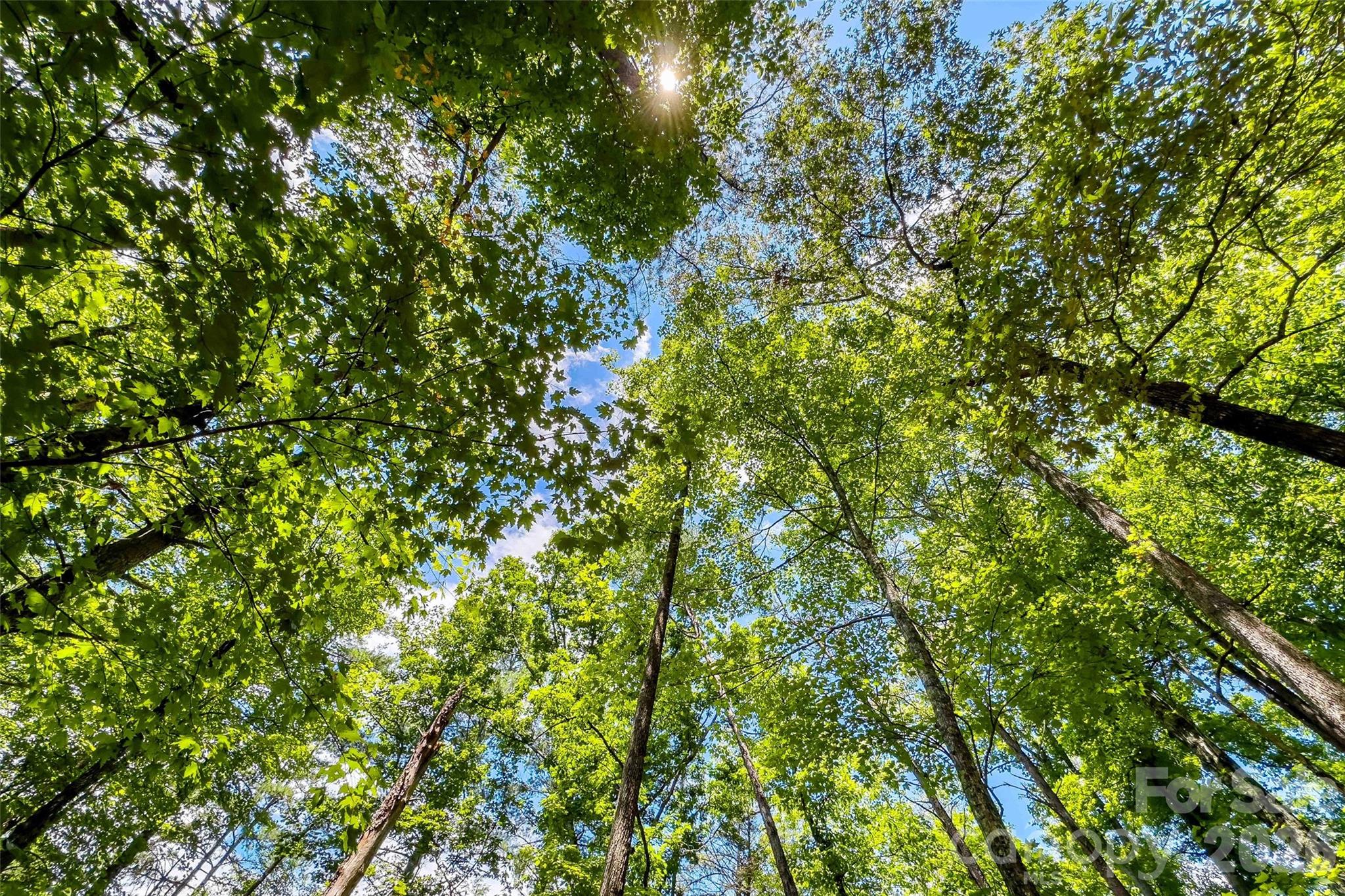 0 Buffalo Creek Road Unit: 0