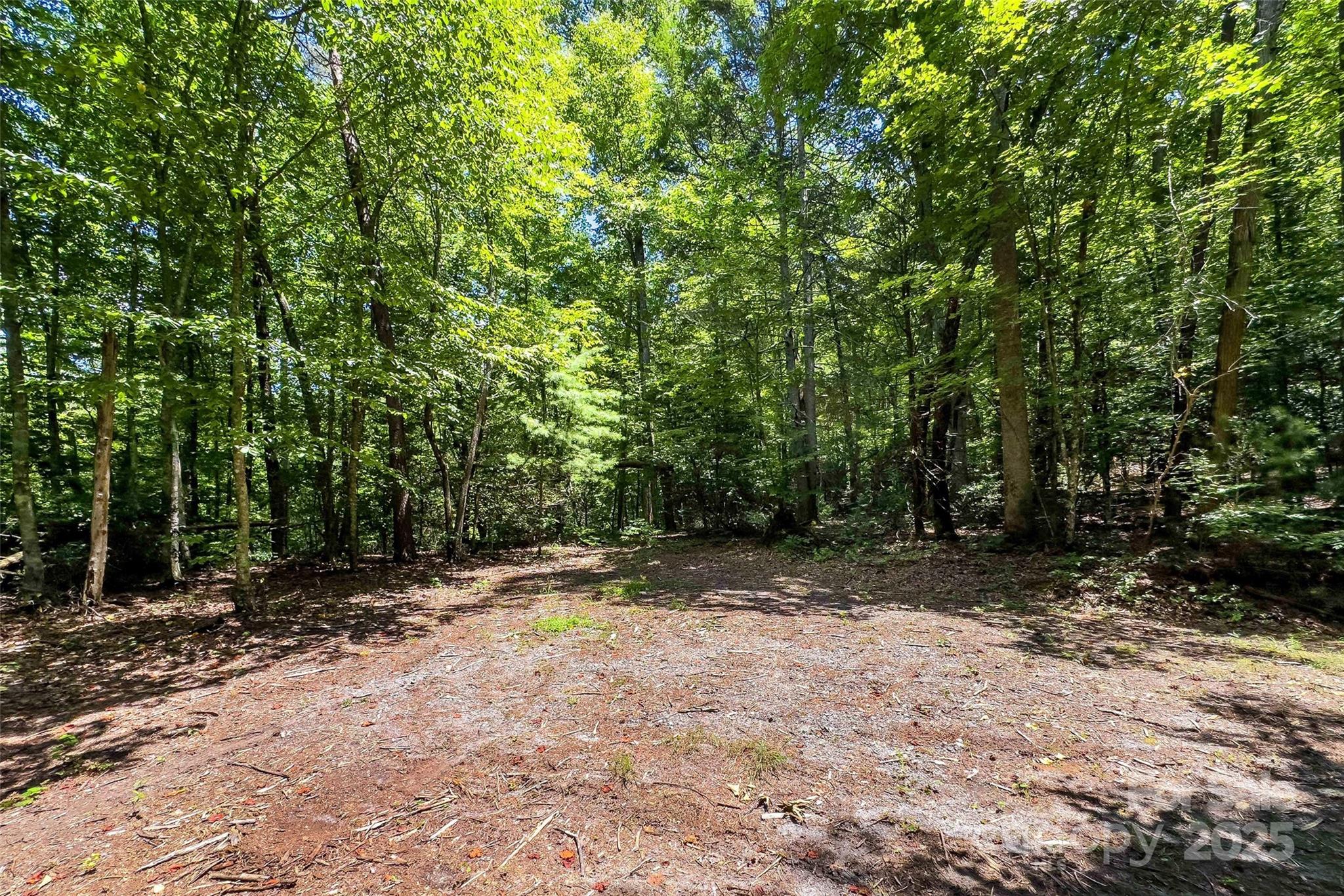 0 Buffalo Creek Road Unit: 0