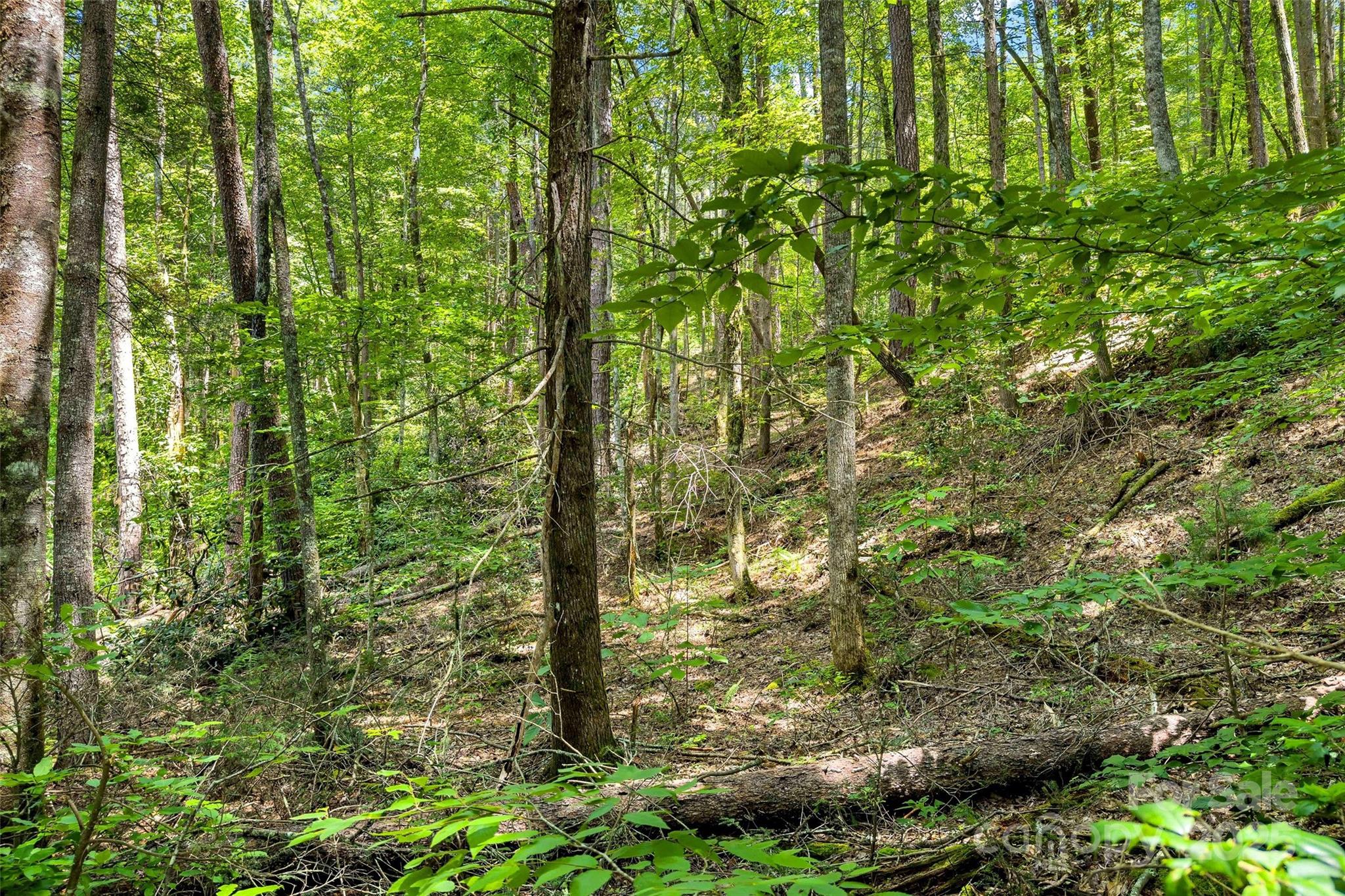 0 Buffalo Creek Road Unit: 0