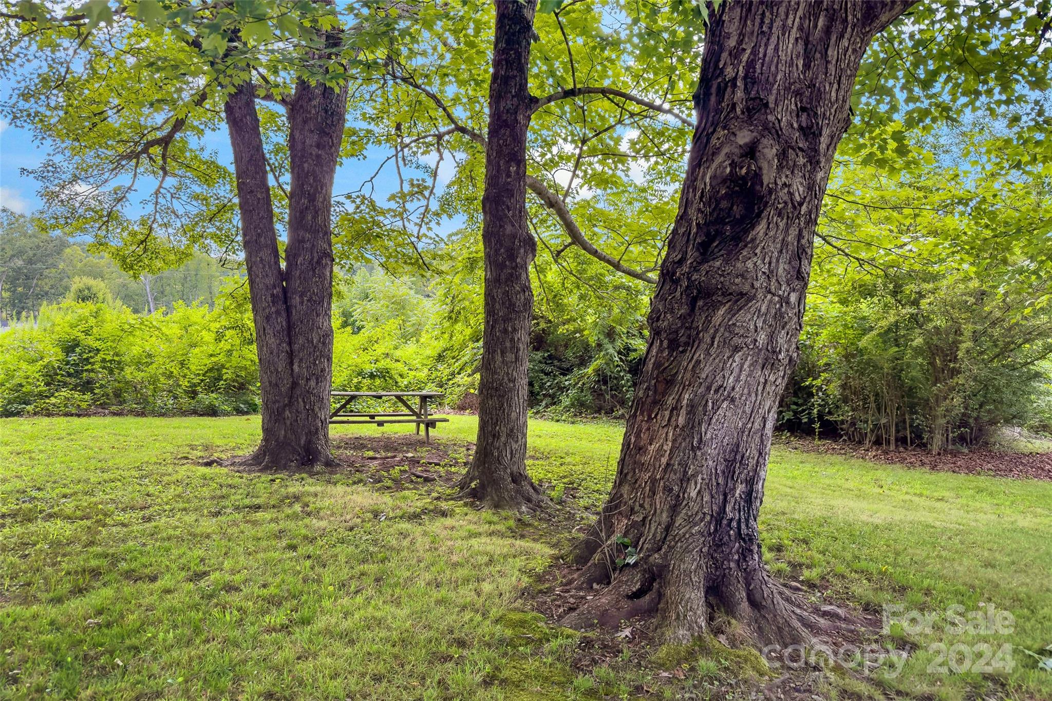 324 Mccoy Cove Road