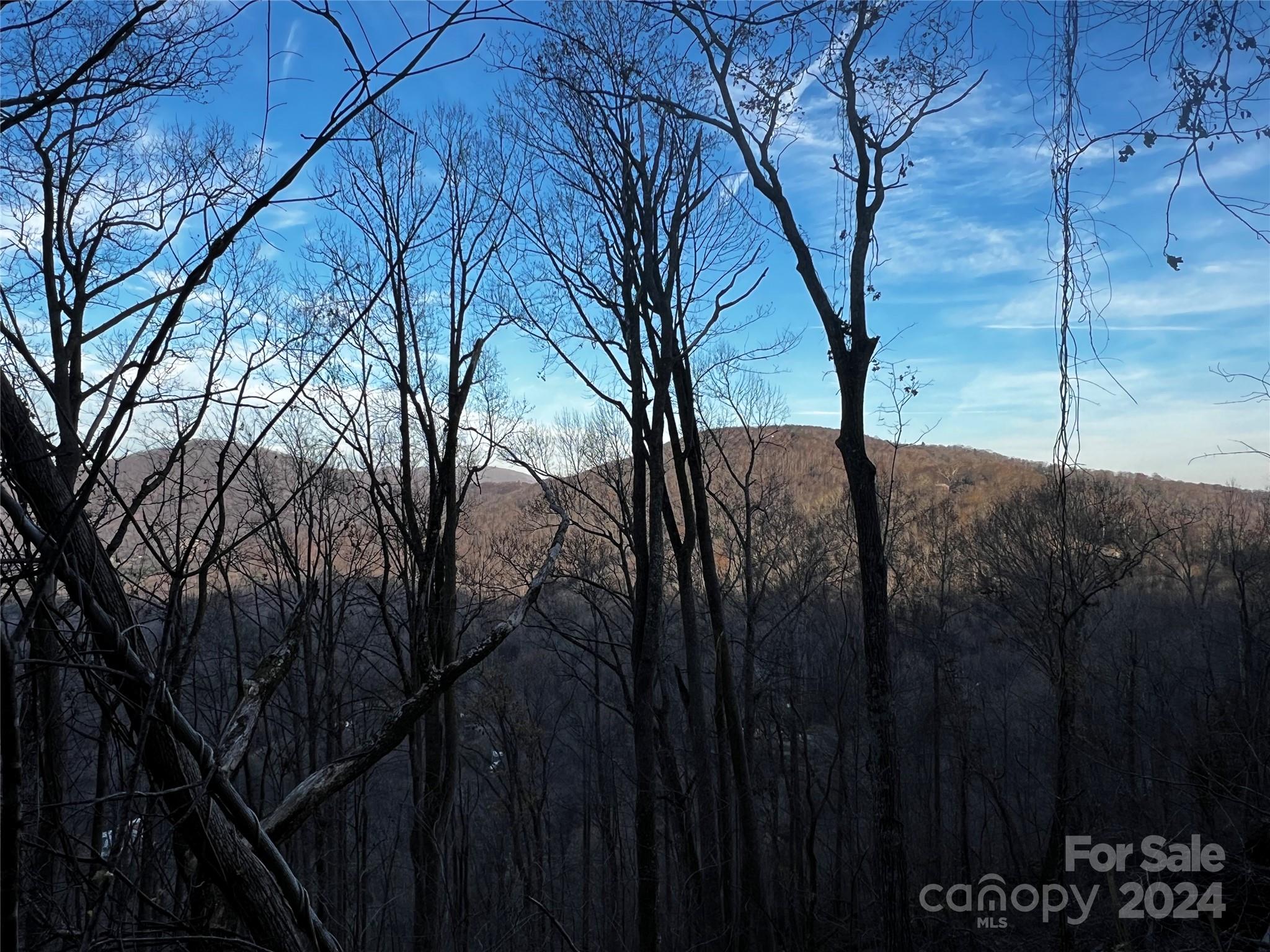 000 Mountain Breeze Trail