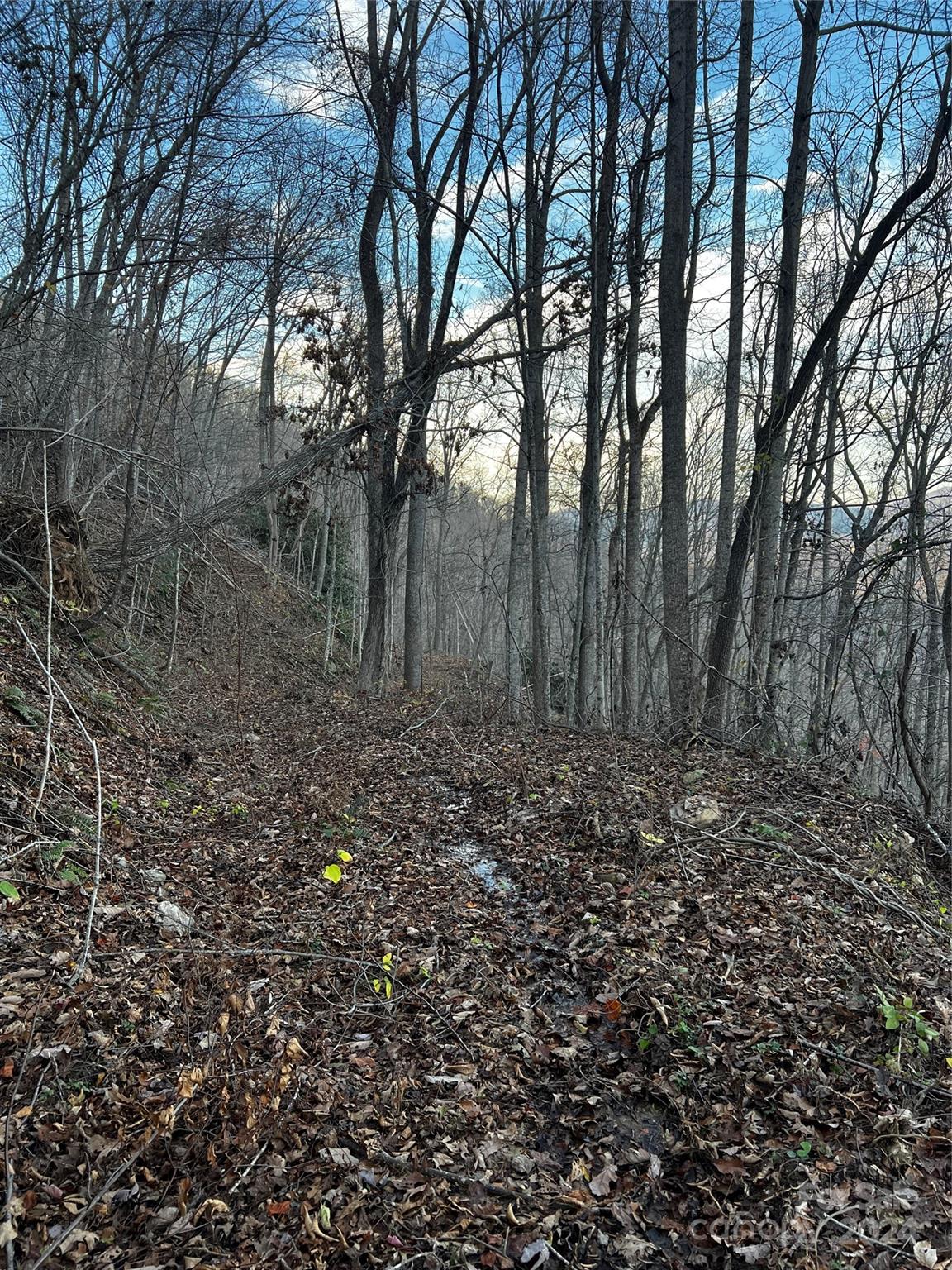 000 Mountain Breeze Trail