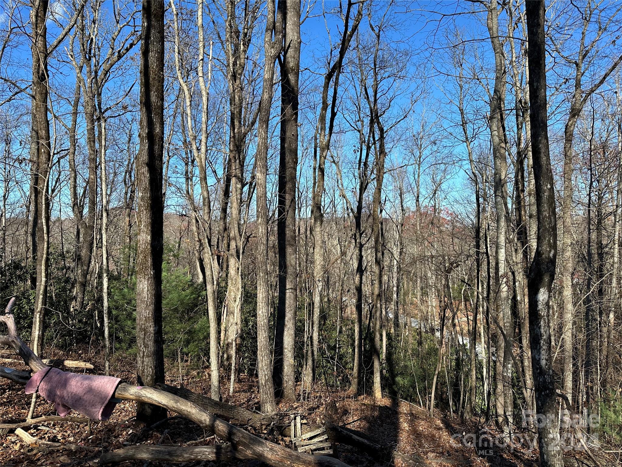 19 21 23 Whetstone Gap Road Unit: 19, 21, 23