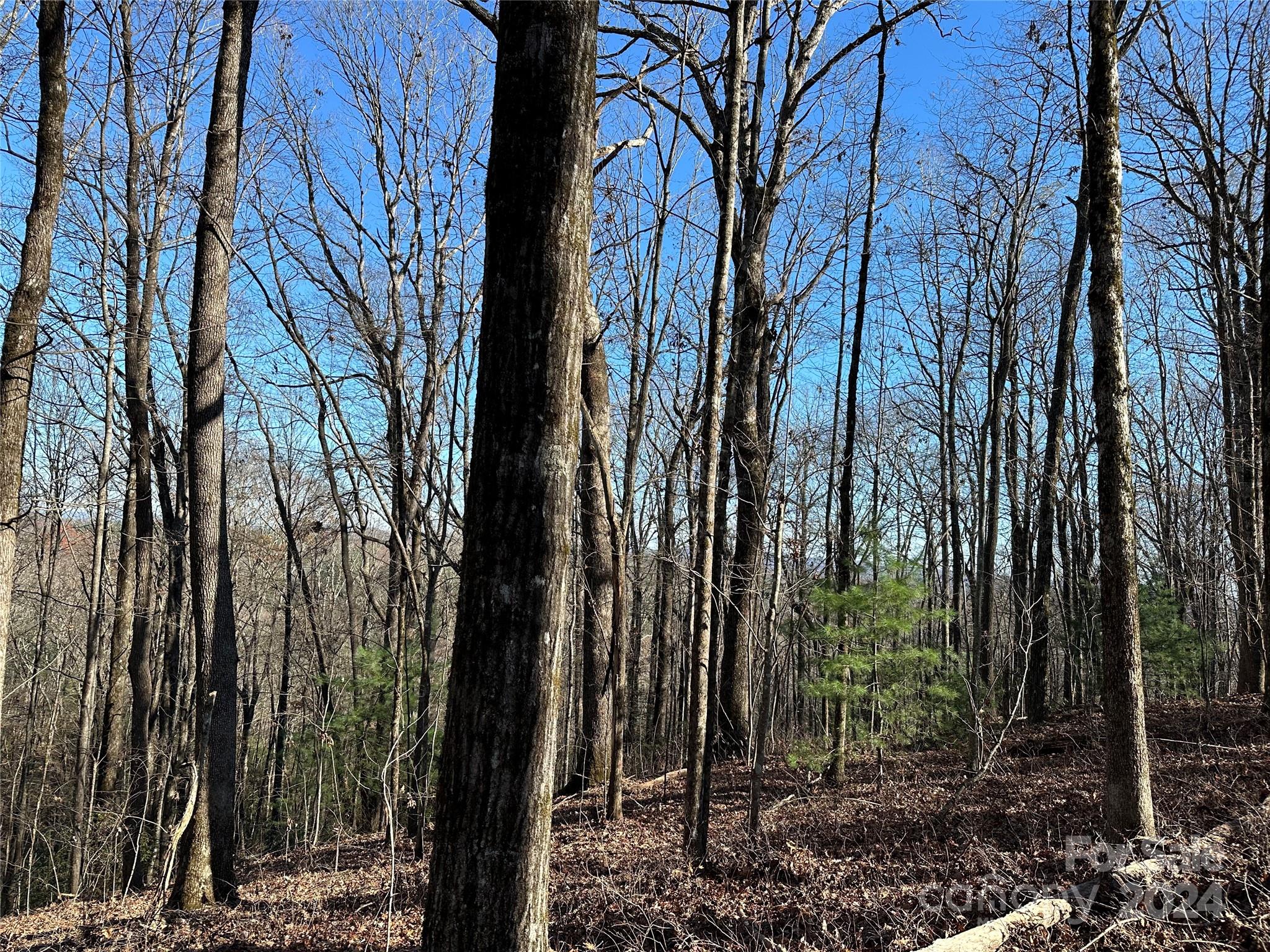 19 21 23 Whetstone Gap Road Unit: 19, 21, 23