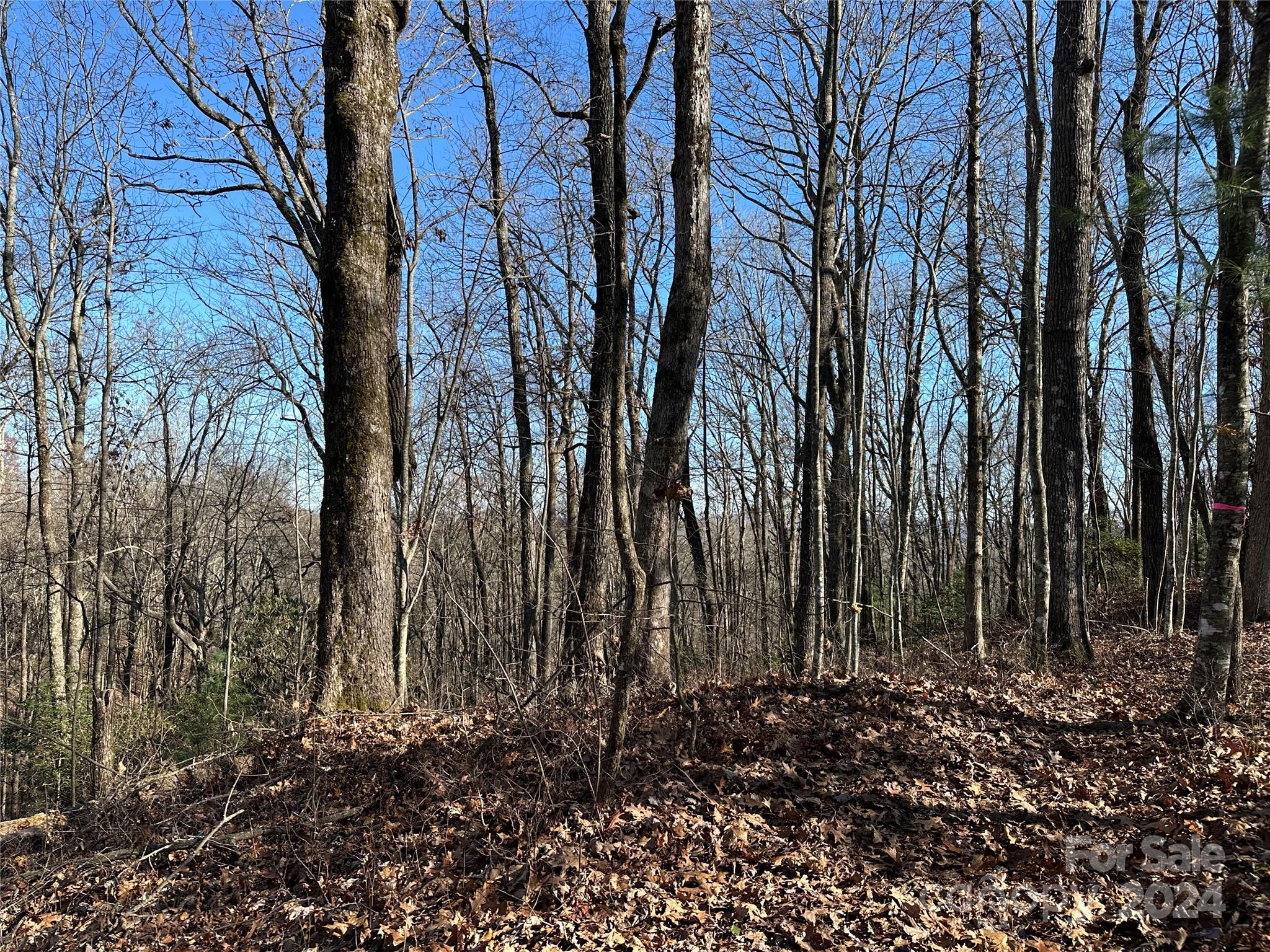 19 21 23 Whetstone Gap Road Unit: 19, 21, 23