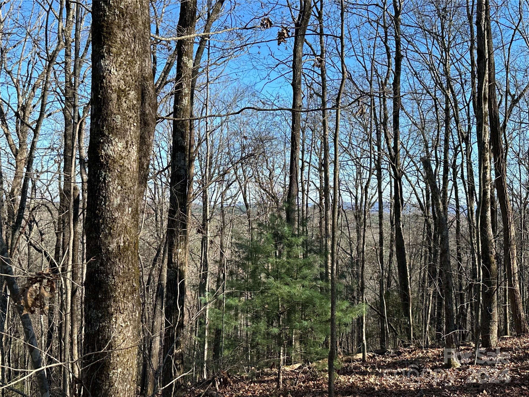 19 21 23 Whetstone Gap Road Unit: 19, 21, 23