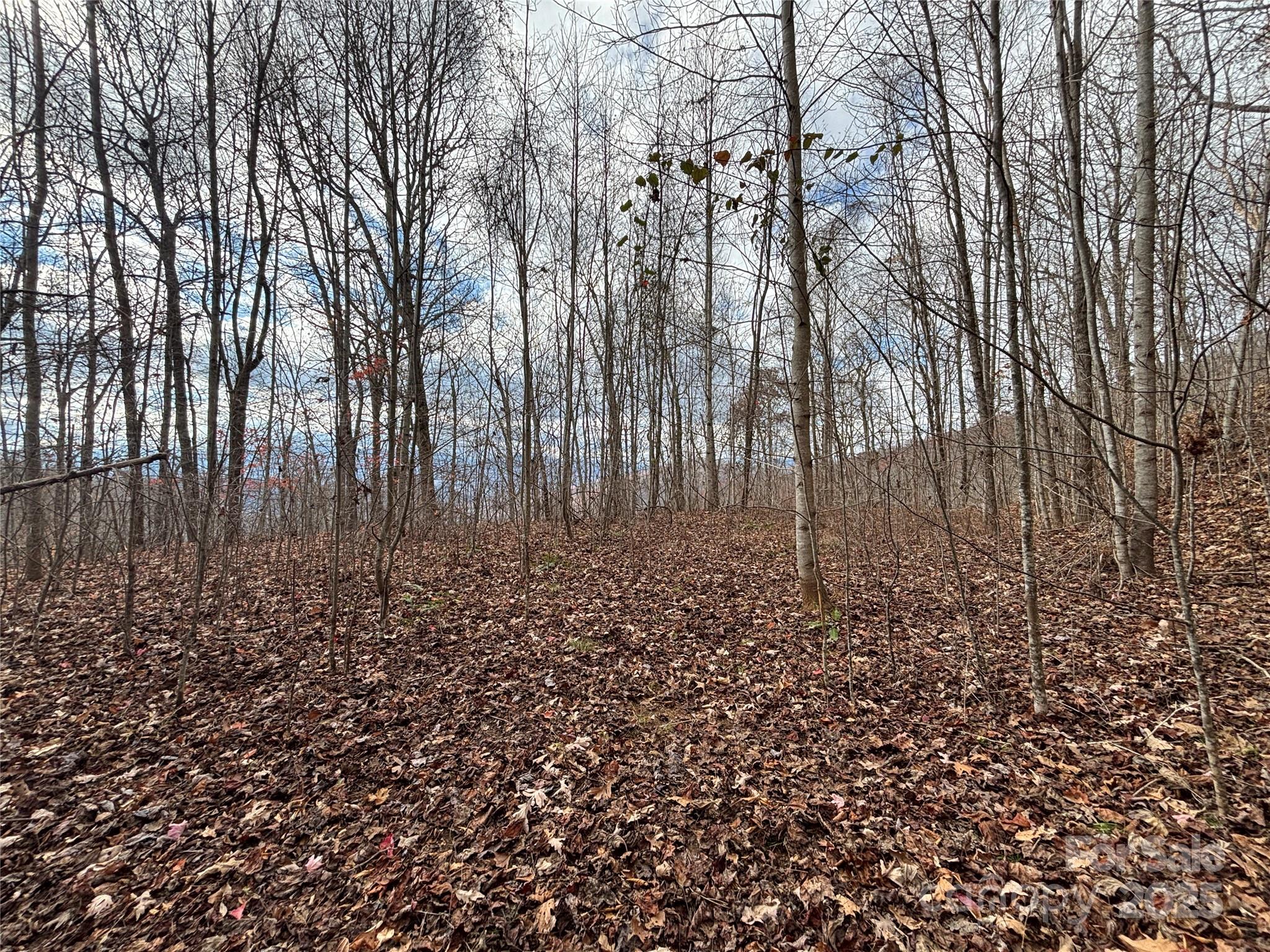 Lot 64 Grizzly Ridge