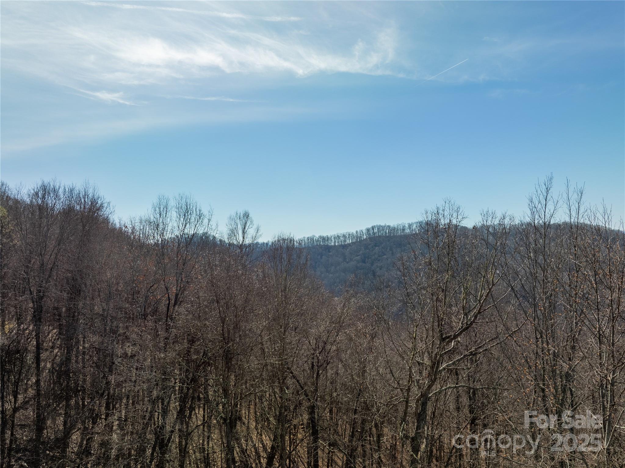 Lot 64 Grizzly Ridge