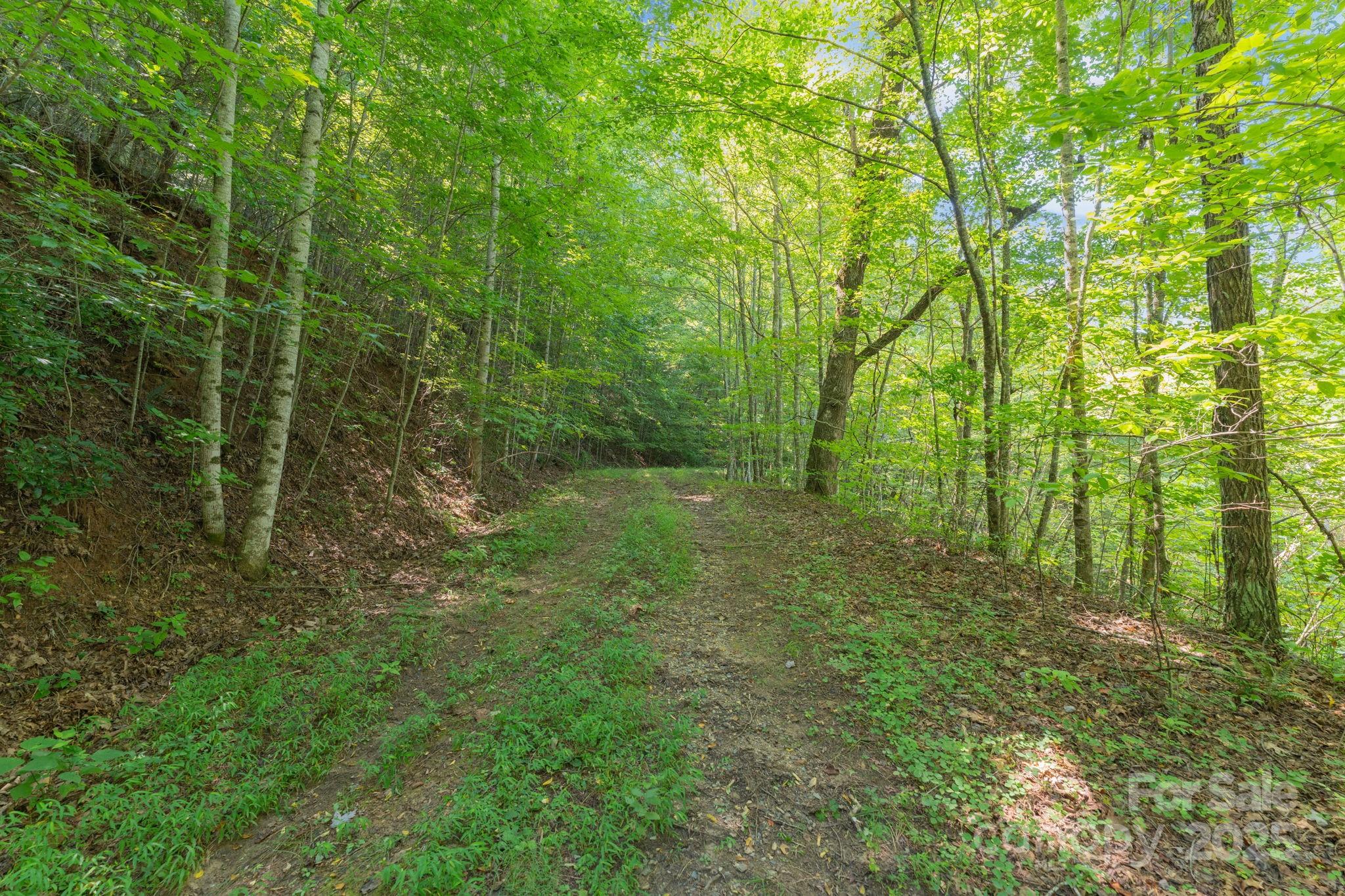 80 Breezewood Drive