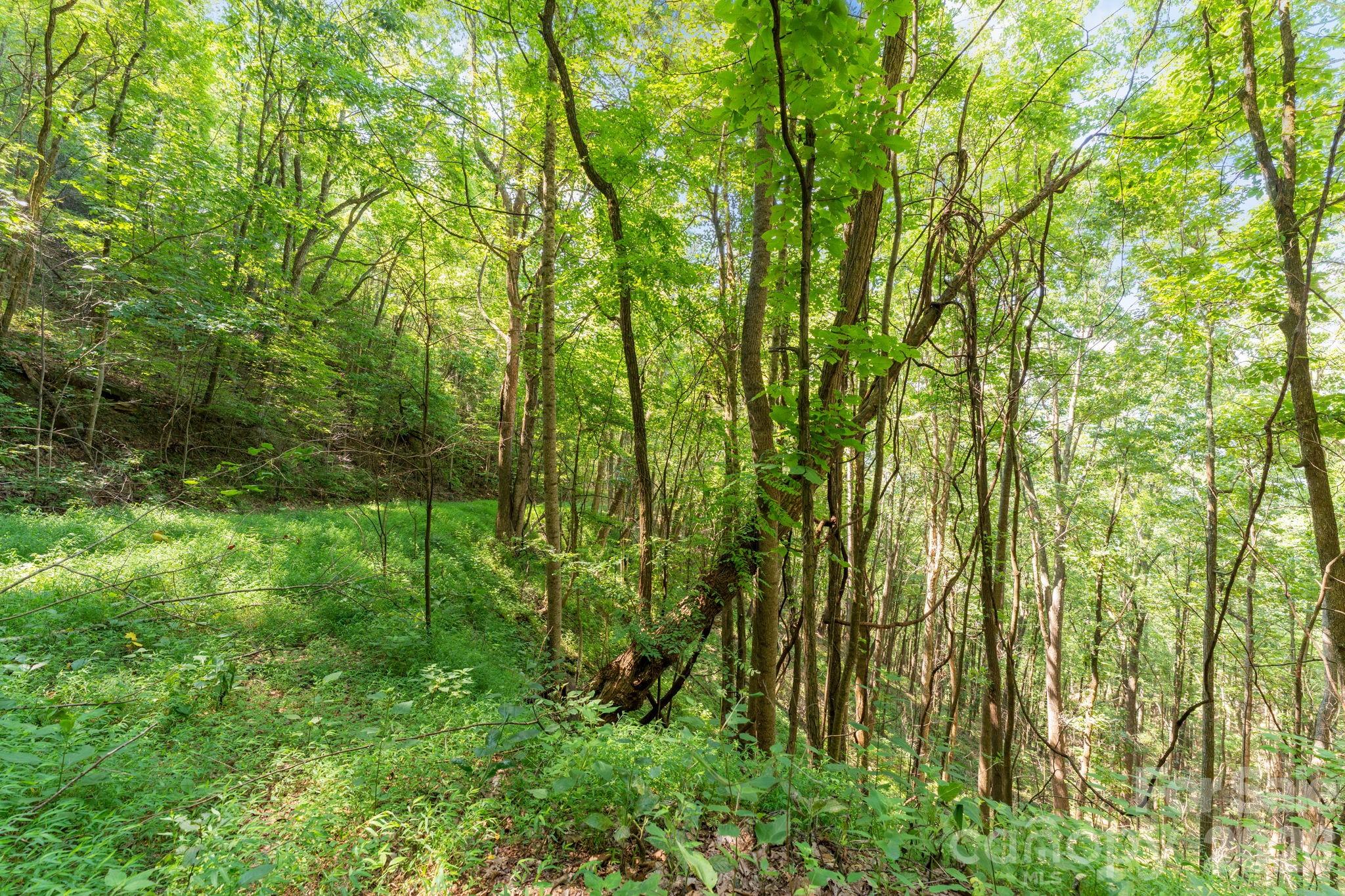 80 Breezewood Drive
