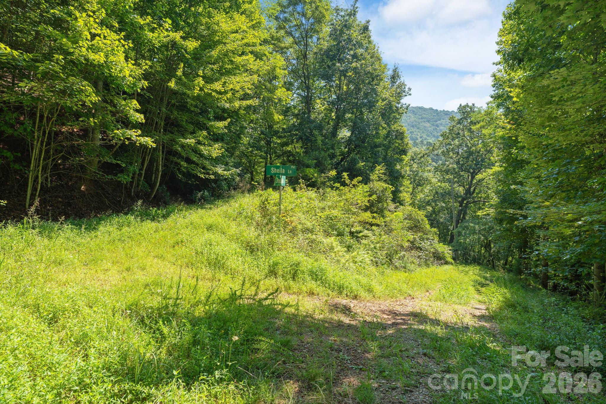 80 Breezewood Drive