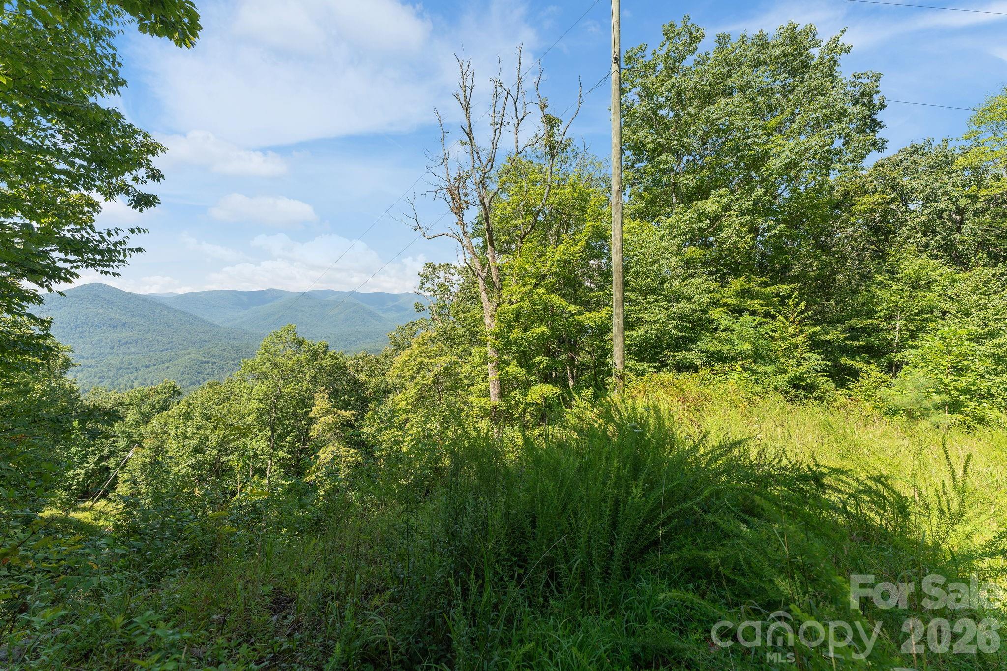 80 Breezewood Drive